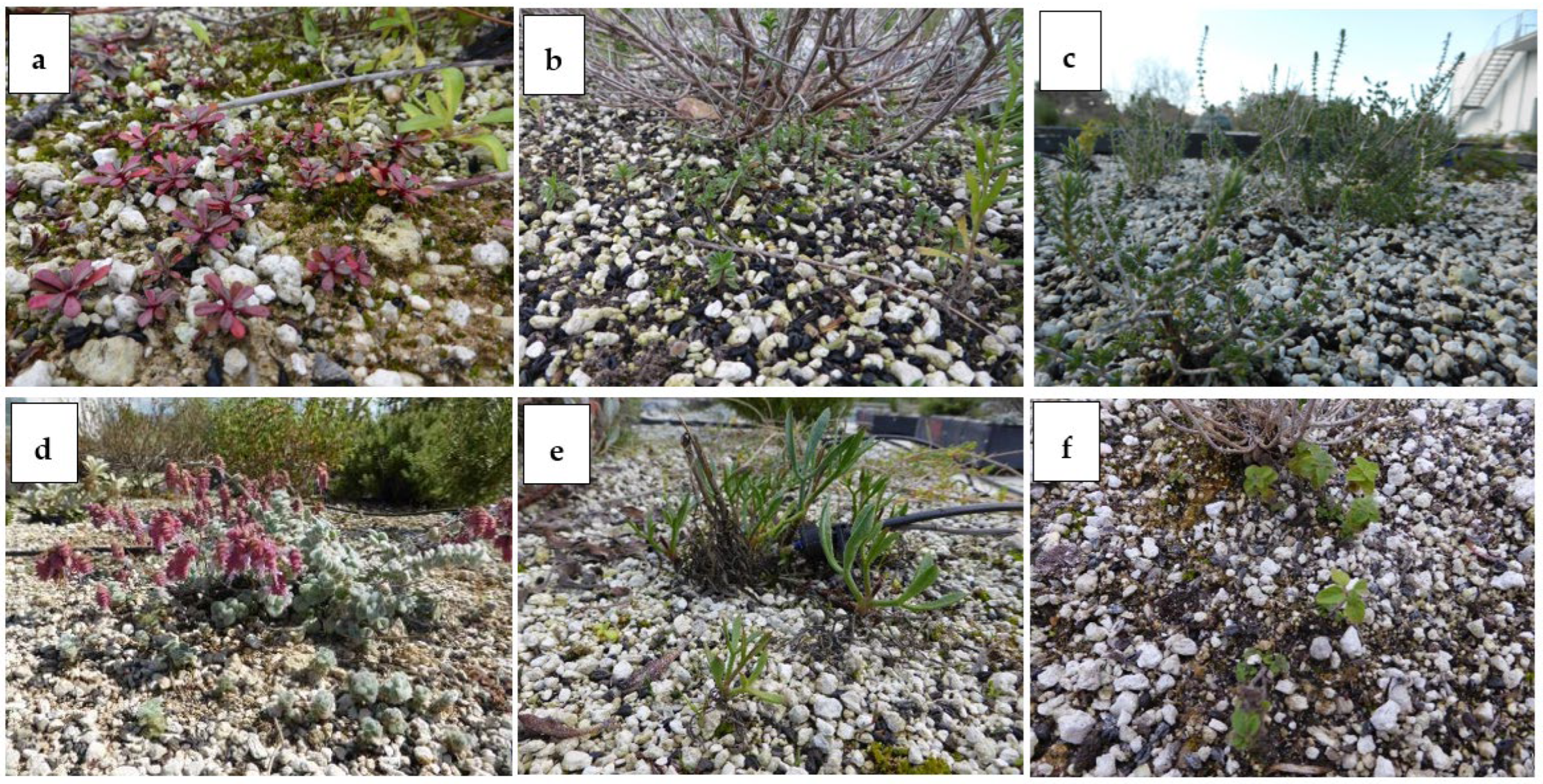 Sustainability 15 05940 g016