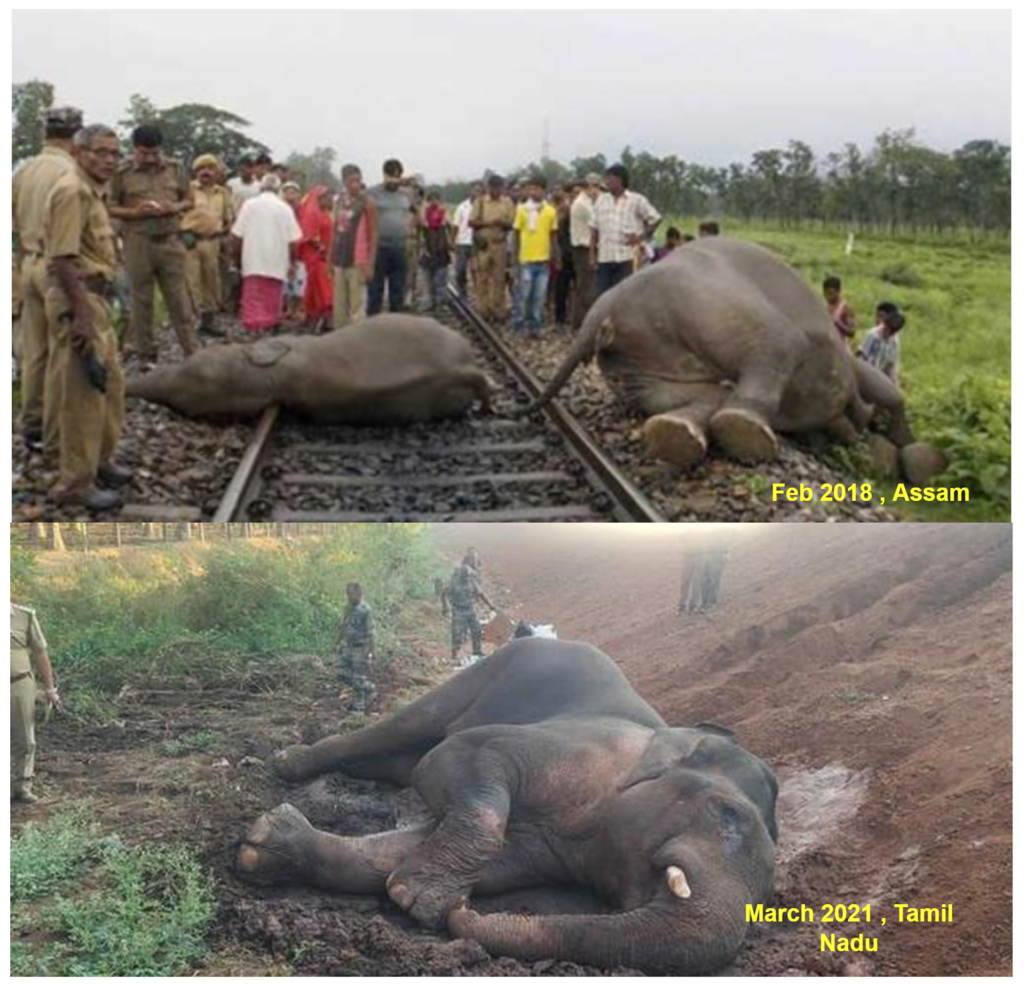 Sustainability 15 05944 g001