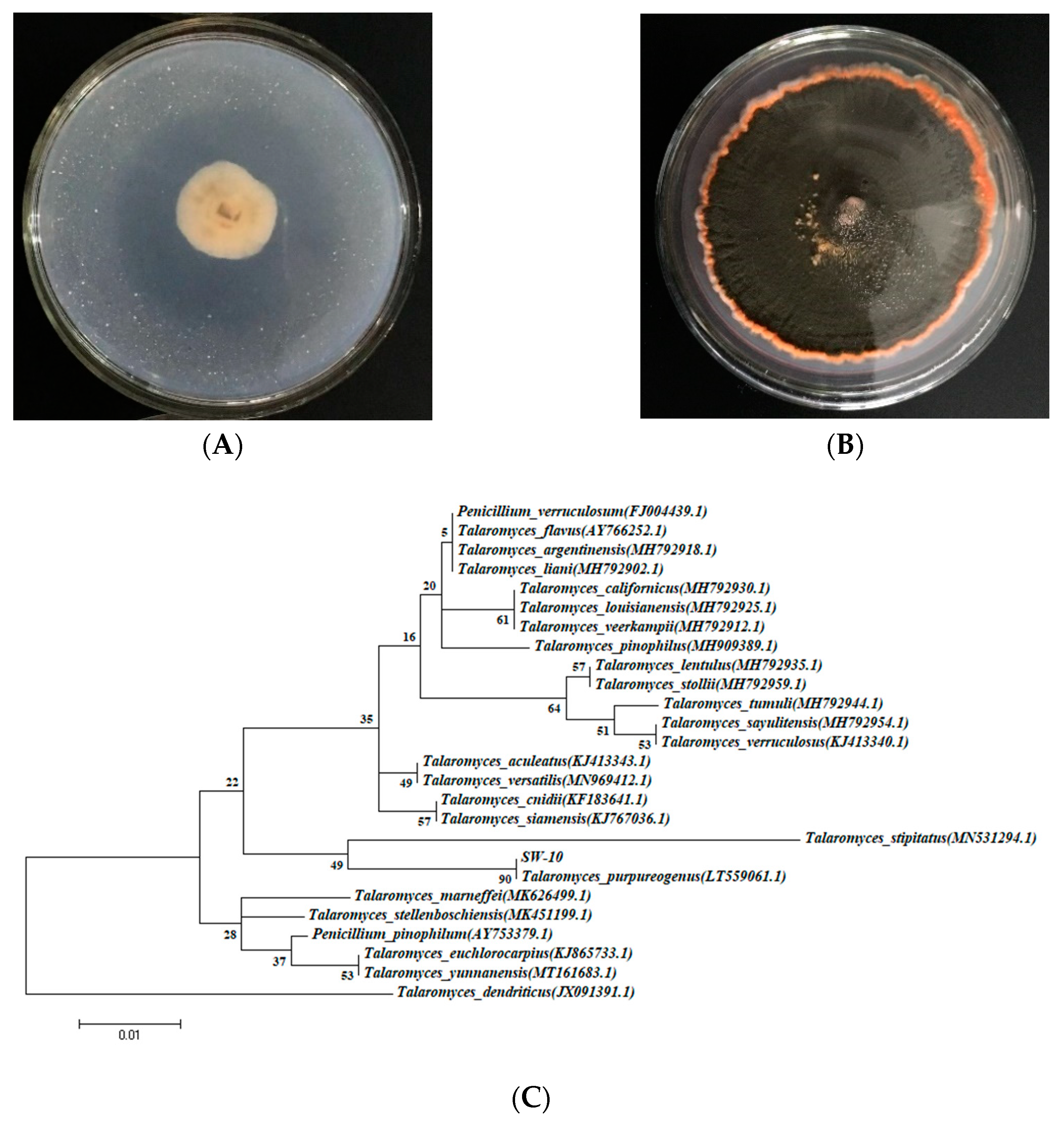 Sustainability 15 05961 g001 Sustainability 15 05961 g001