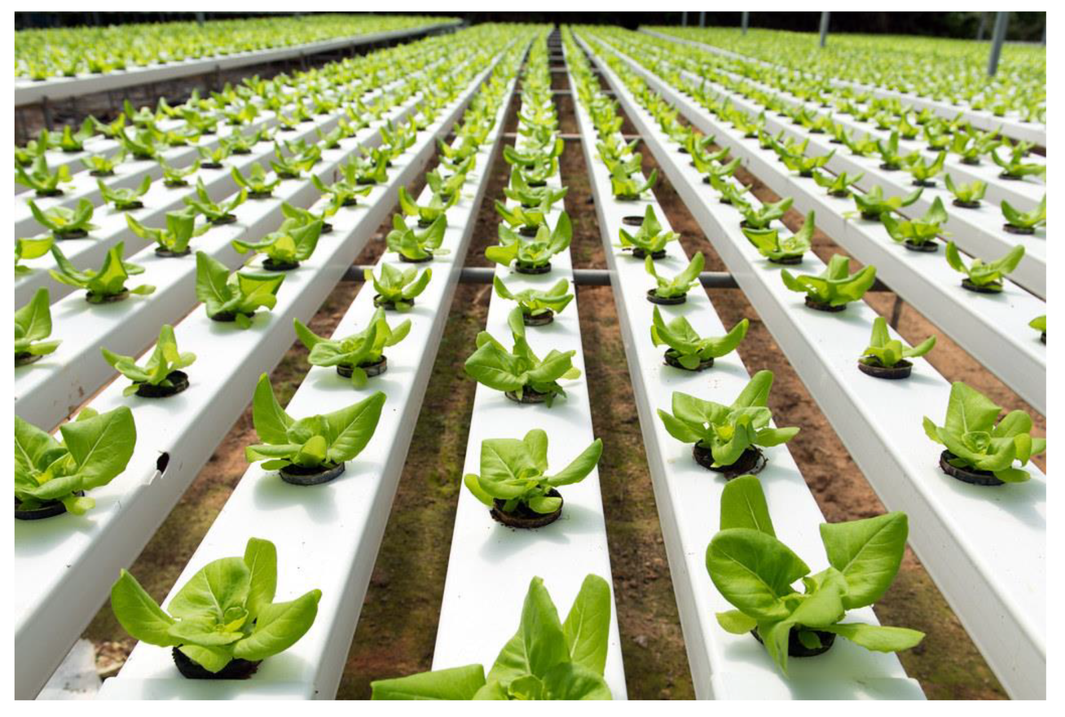 Sustainability 15 05975 g007