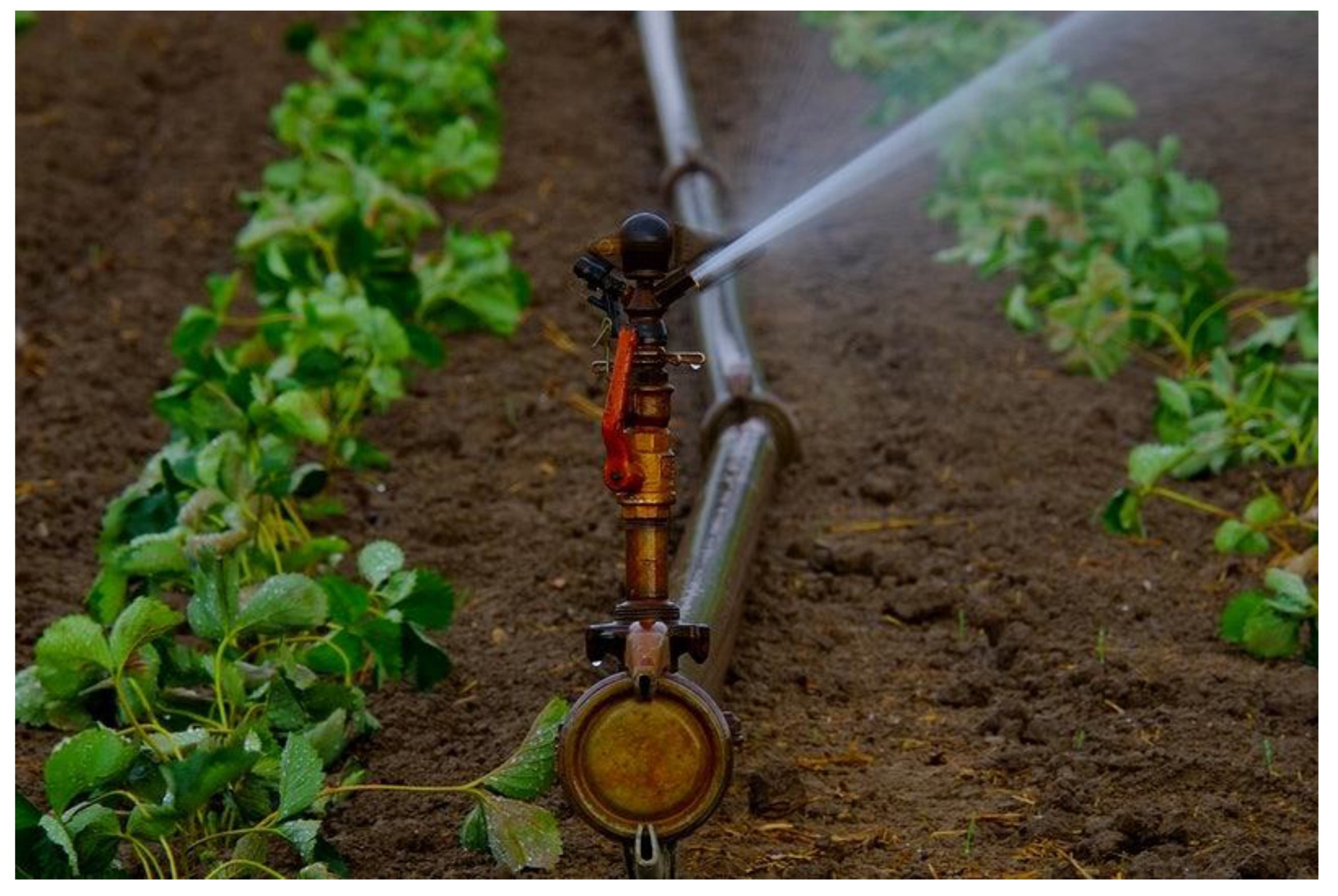 Sustainability 15 05975 g009