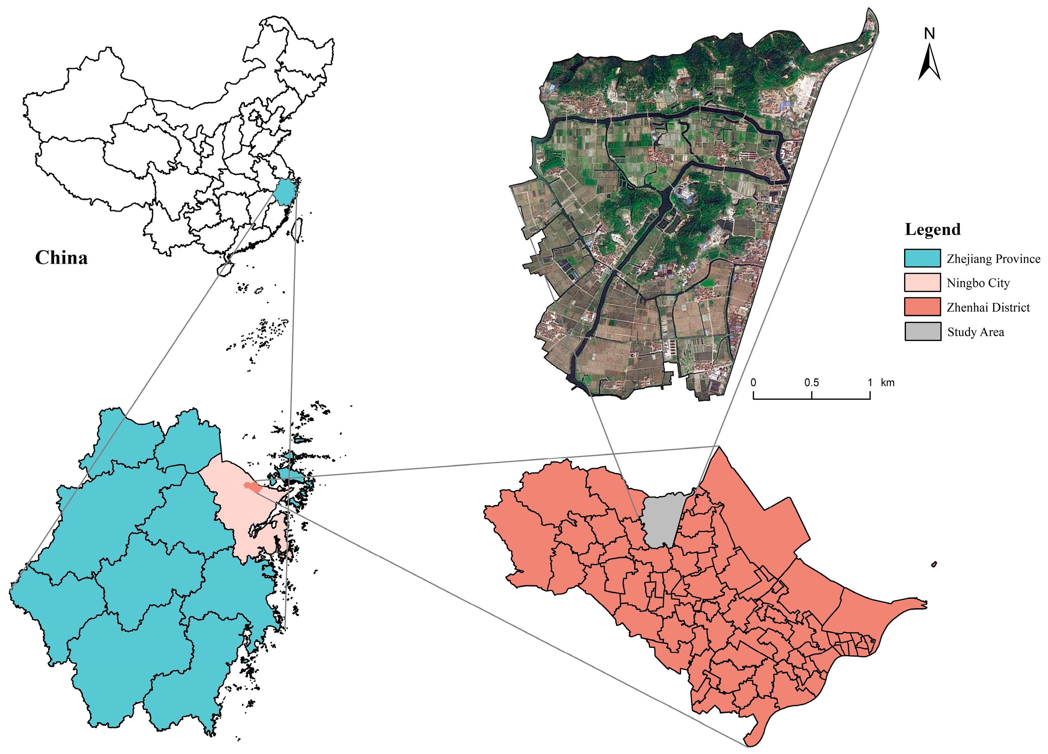 セール 登場から人気沸騰 of Optimization and Construction an in Network Ecological その他