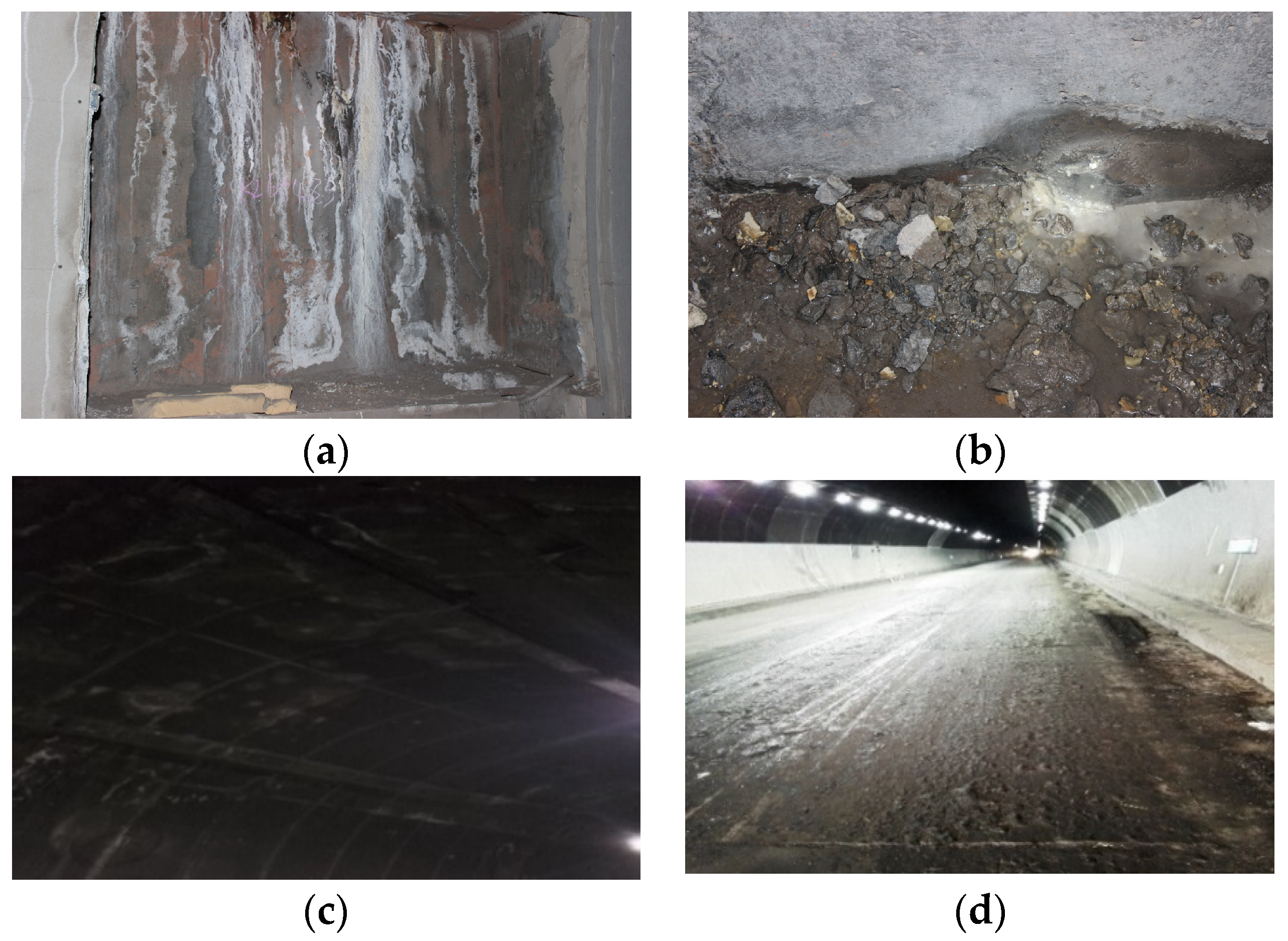 Sustainability 15 06010 g001