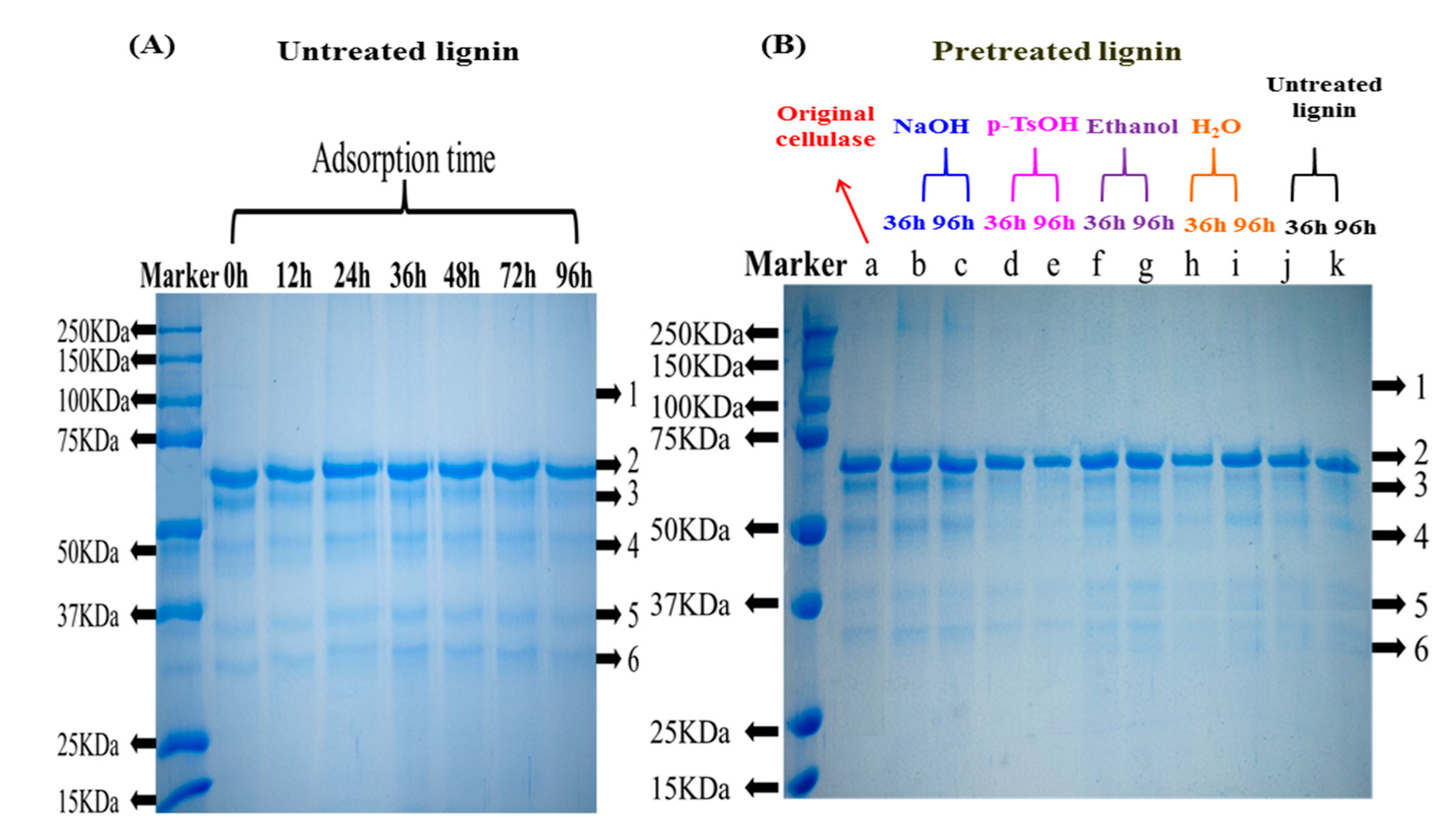 Sustainability 15 06057 g002