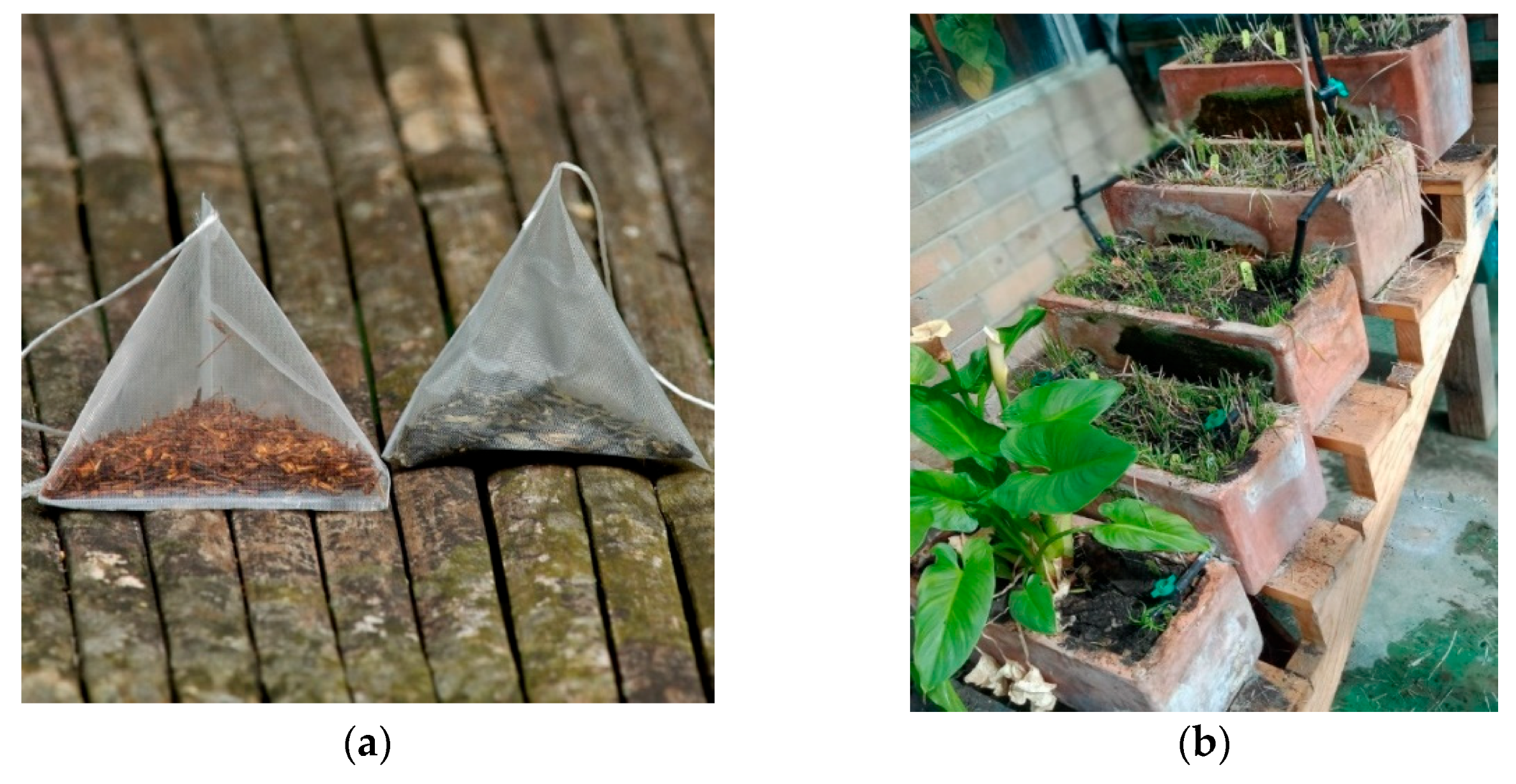 Sustainability 15 06102 g005 Sustainability 15 06102 g005