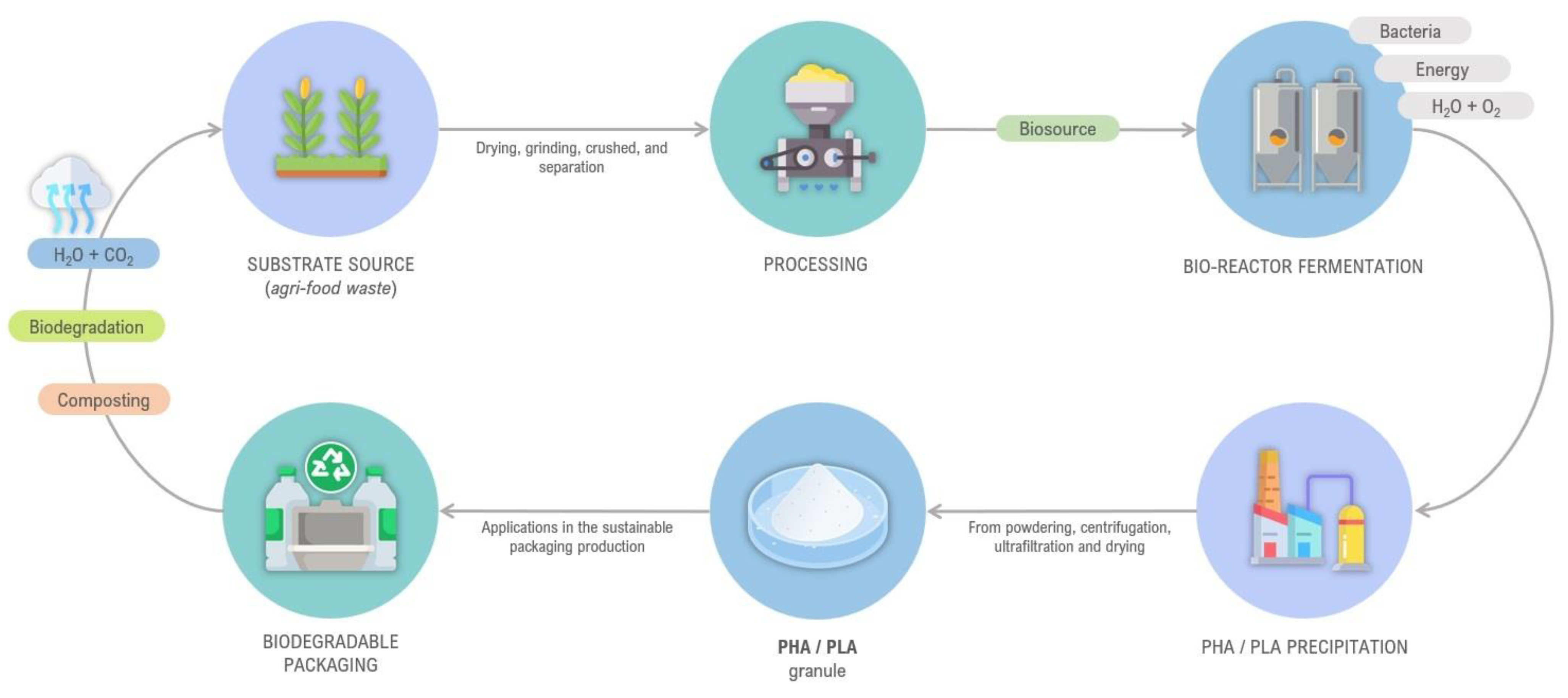 Advances in the Food Packaging Production from AgriFood Waste and By