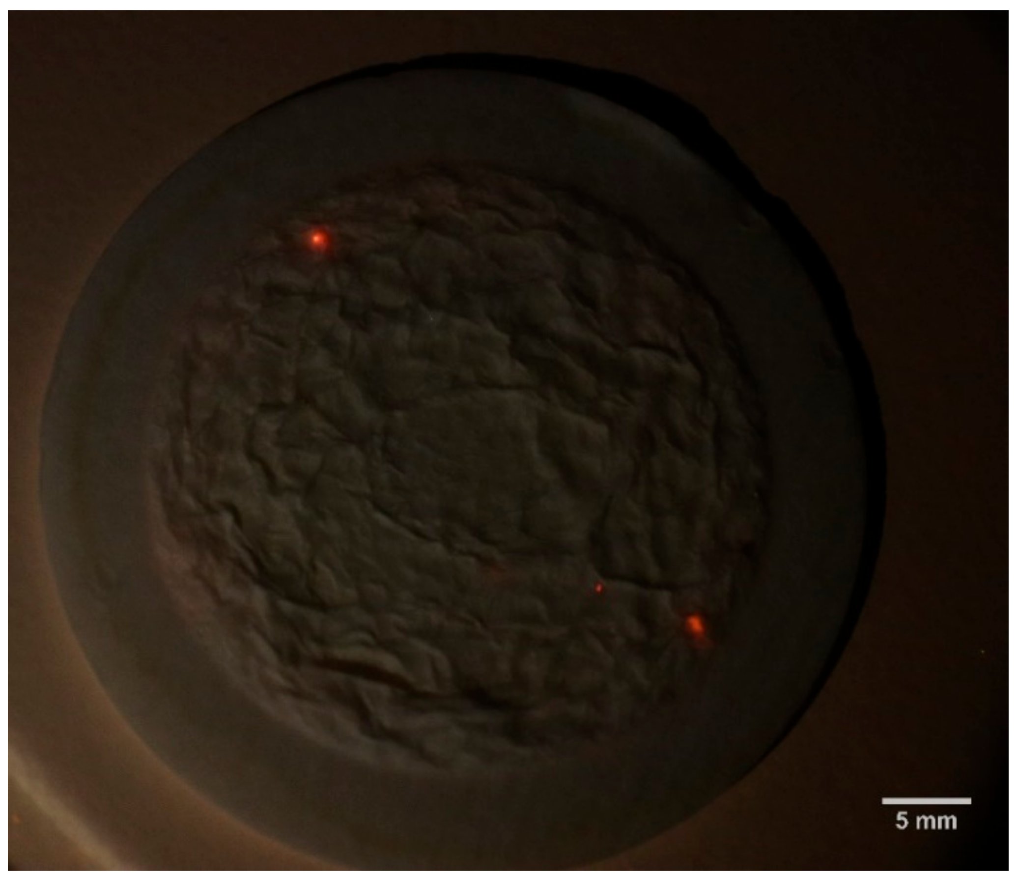 Sustainability 15 06186 g005b Sustainability 15 06186 g005b