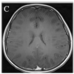 Sustainability 15 06189 i002 Sustainability 15 06189 i002