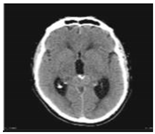 Sustainability 15 06189 i004 Sustainability 15 06189 i004