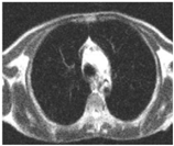 Sustainability 15 06189 i015 Sustainability 15 06189 i015