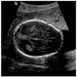 Sustainability 15 06189 i017 Sustainability 15 06189 i017