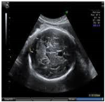 Sustainability 15 06189 i018 Sustainability 15 06189 i018