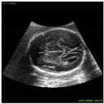 Sustainability 15 06189 i020 Sustainability 15 06189 i020