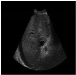 Sustainability 15 06189 i021 Sustainability 15 06189 i021