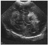 Sustainability 15 06189 i022 Sustainability 15 06189 i022