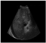 Sustainability 15 06189 i024 Sustainability 15 06189 i024