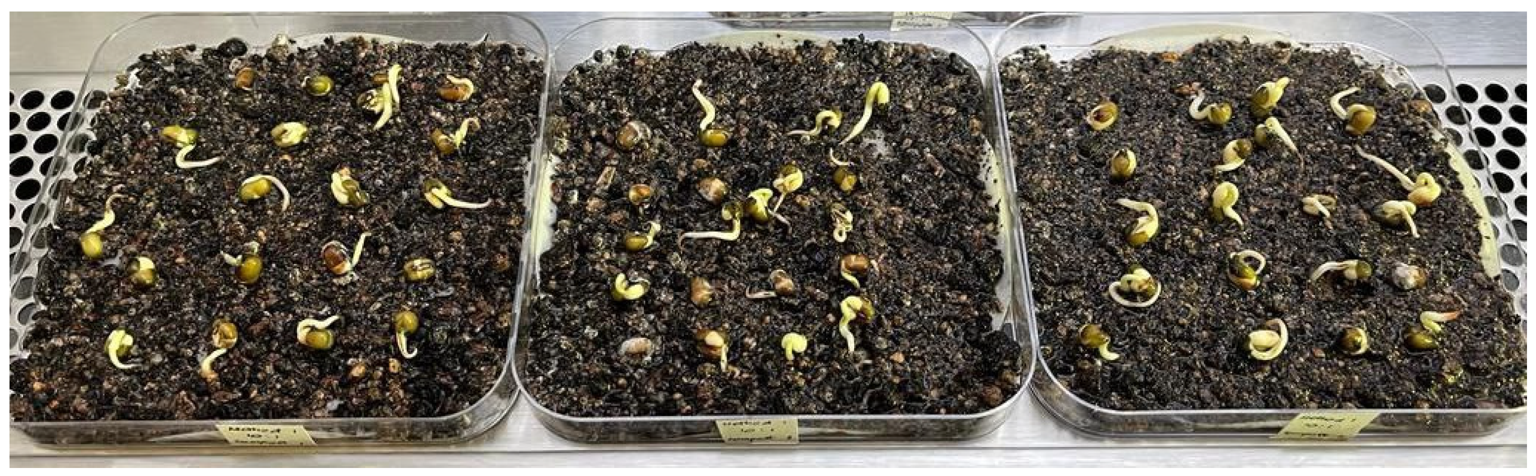 Sustainability 15 06191 g007