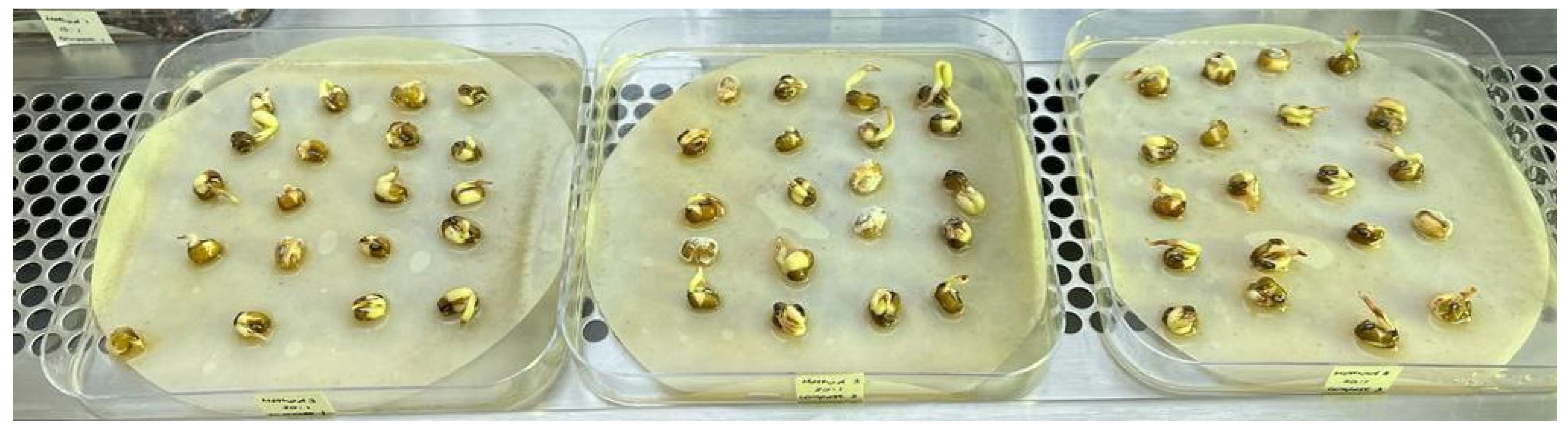 Sustainability 15 06191 g008