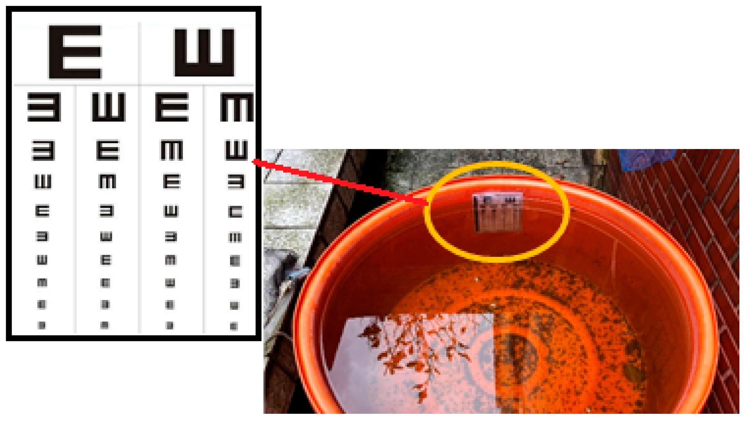 Sustainability 15 06260 g003 Sustainability 15 06260 g003