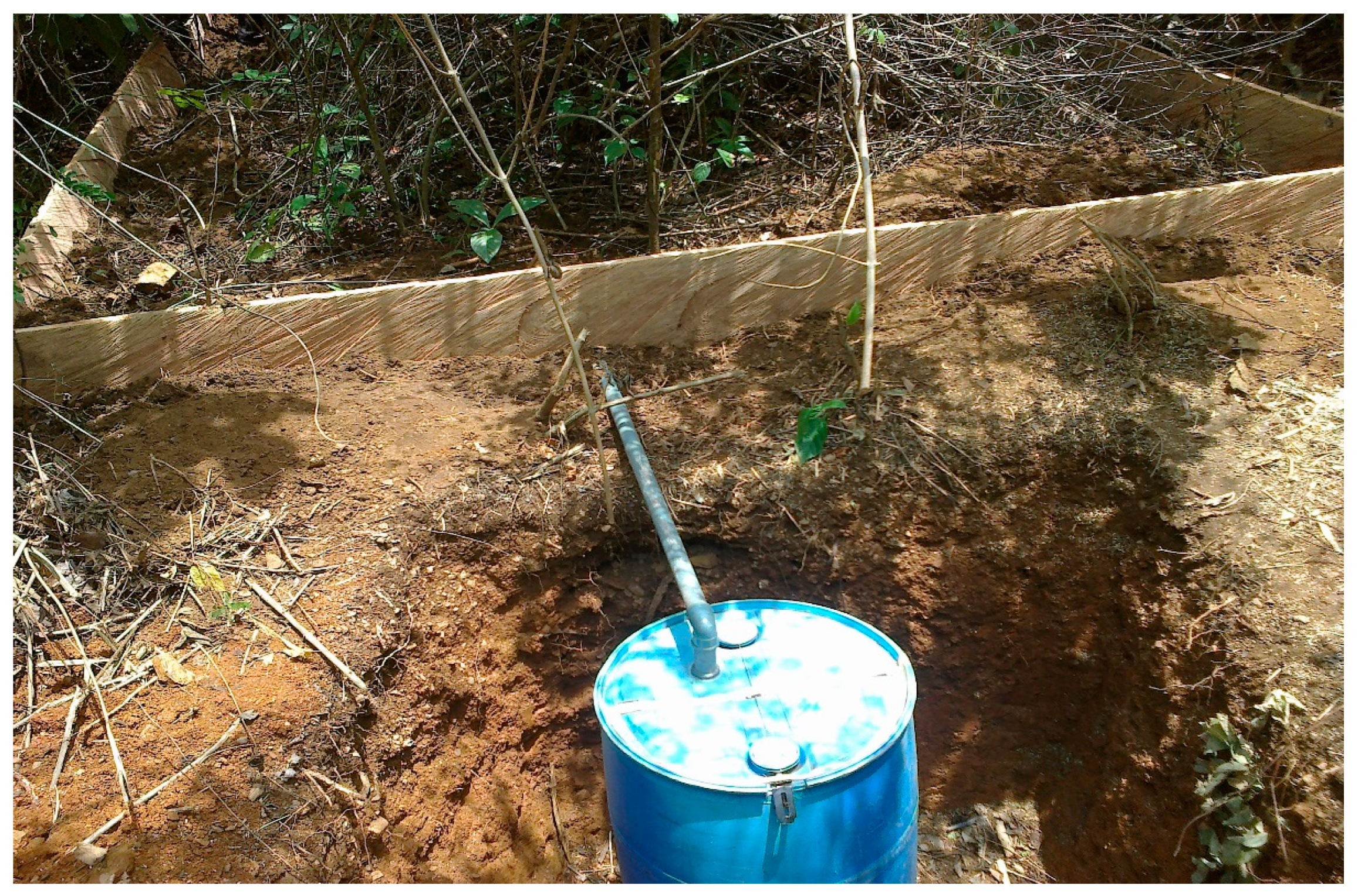 Sustainability 15 06262 g001