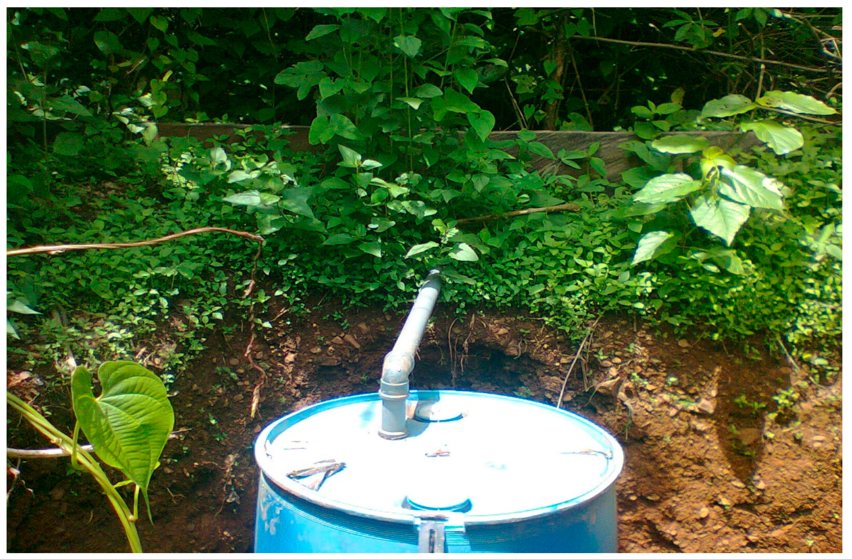 Sustainability 15 06262 g002