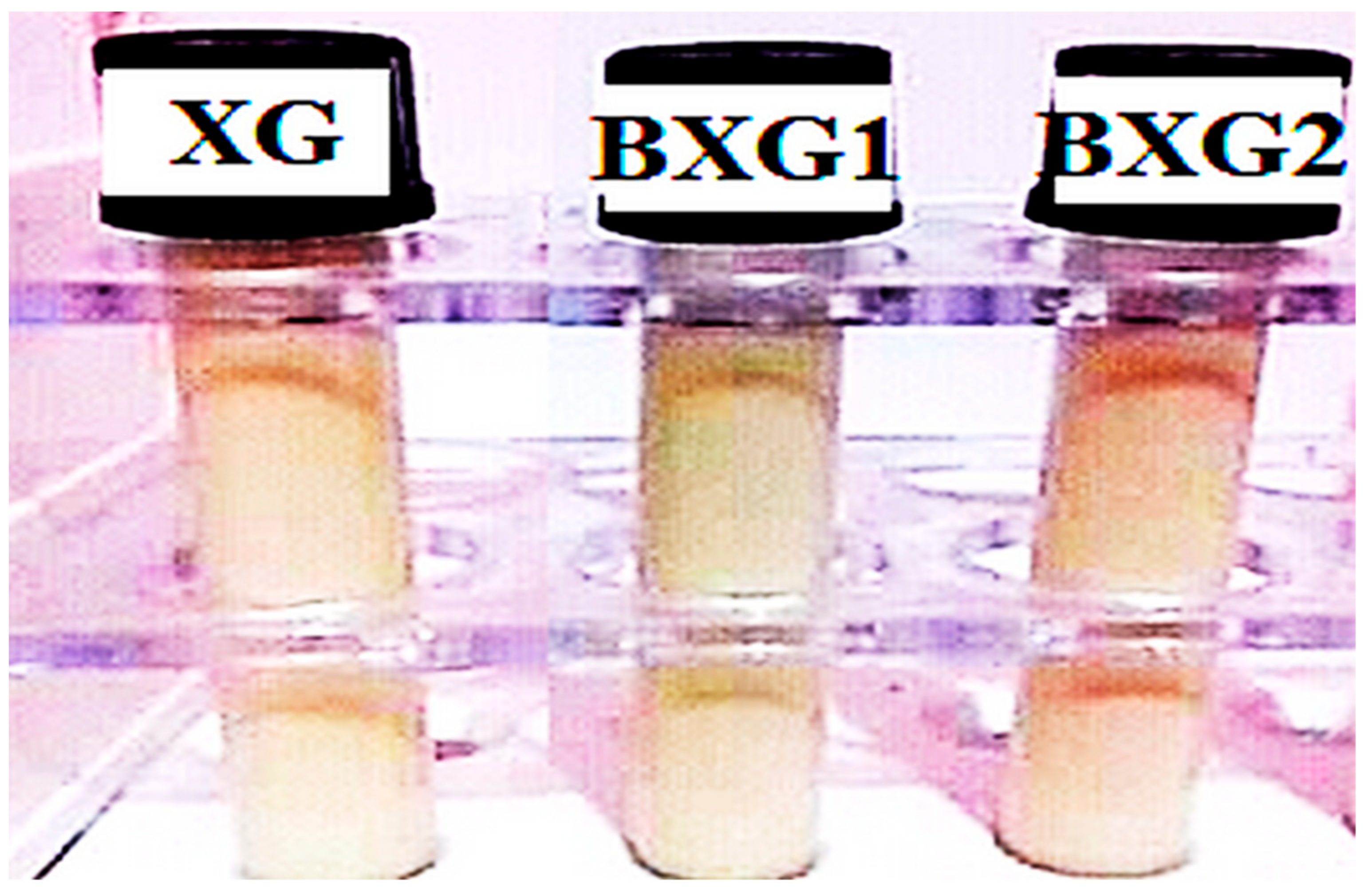 Sustainability 15 06345 g010 Sustainability 15 06345 g010