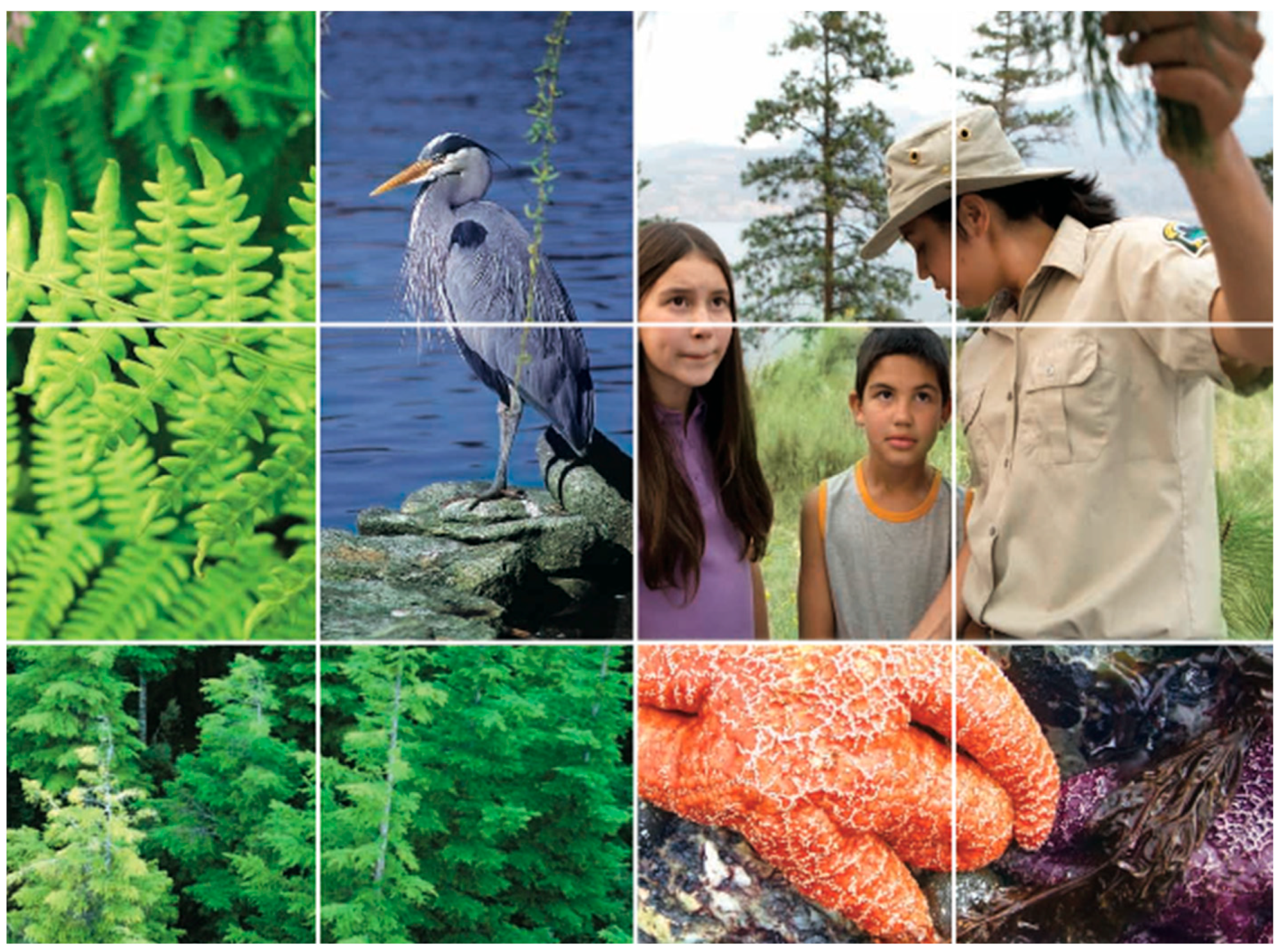 Sustainability 15 06422 g002