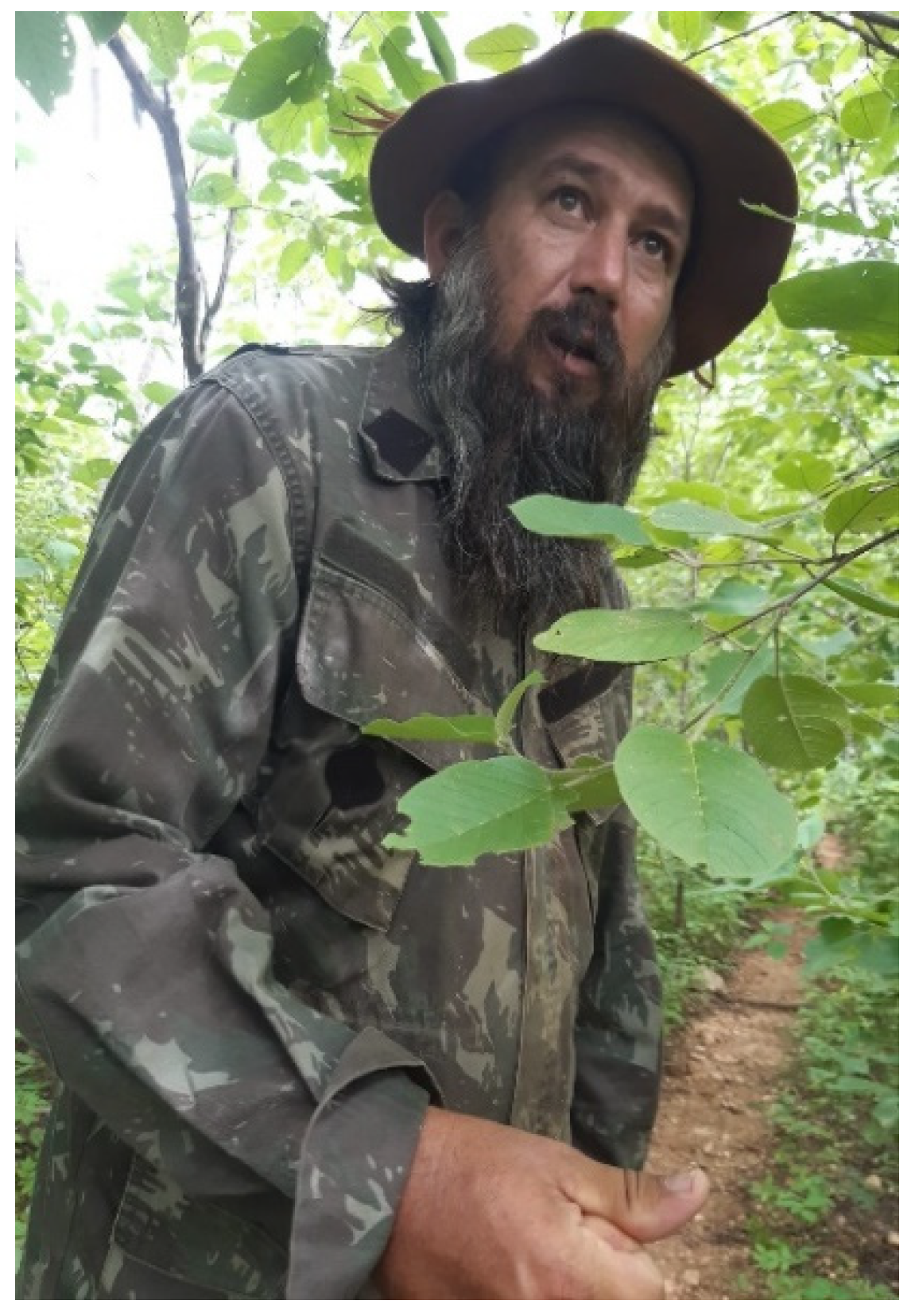 Sustainability 15 06461 g004 Sustainability 15 06461 g004