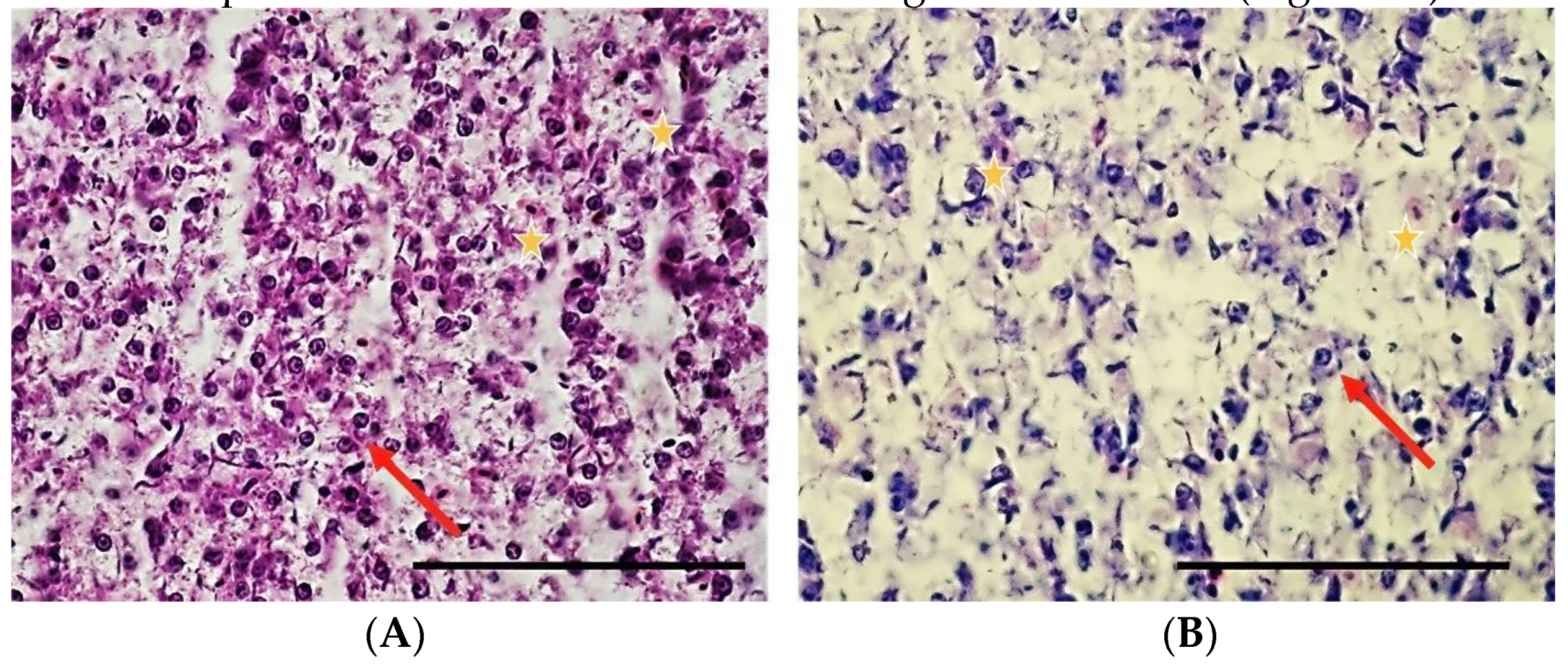 Sustainability 15 06494 g004