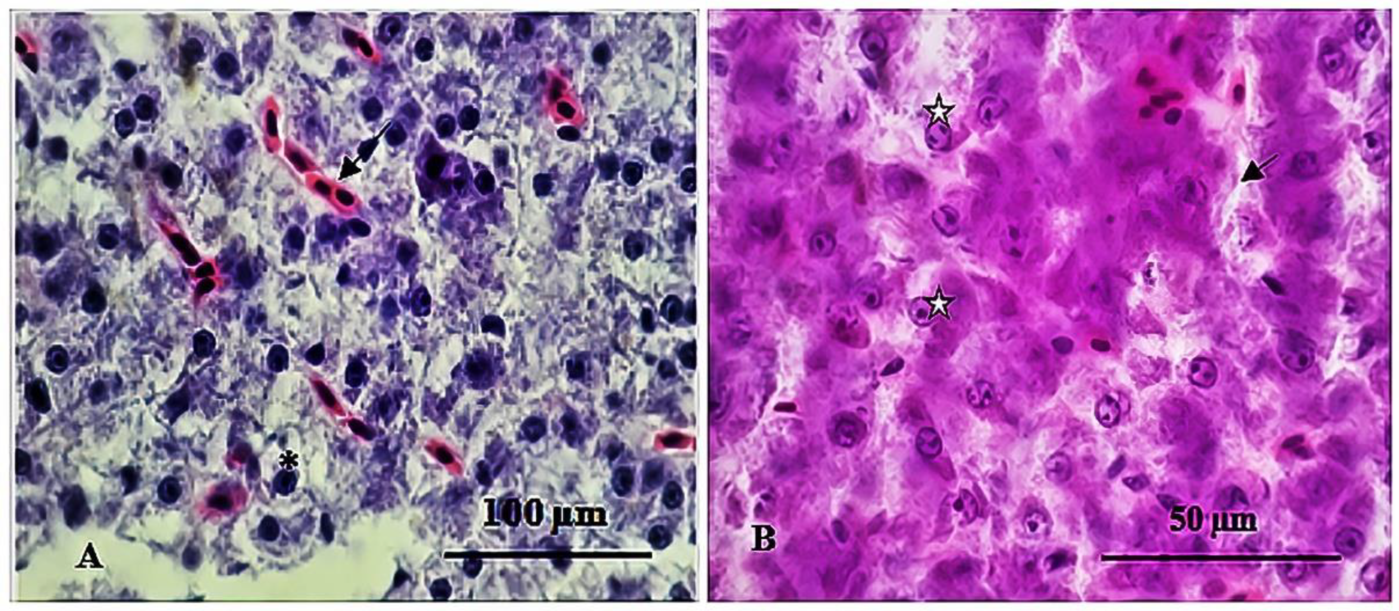 Sustainability 15 06494 g005