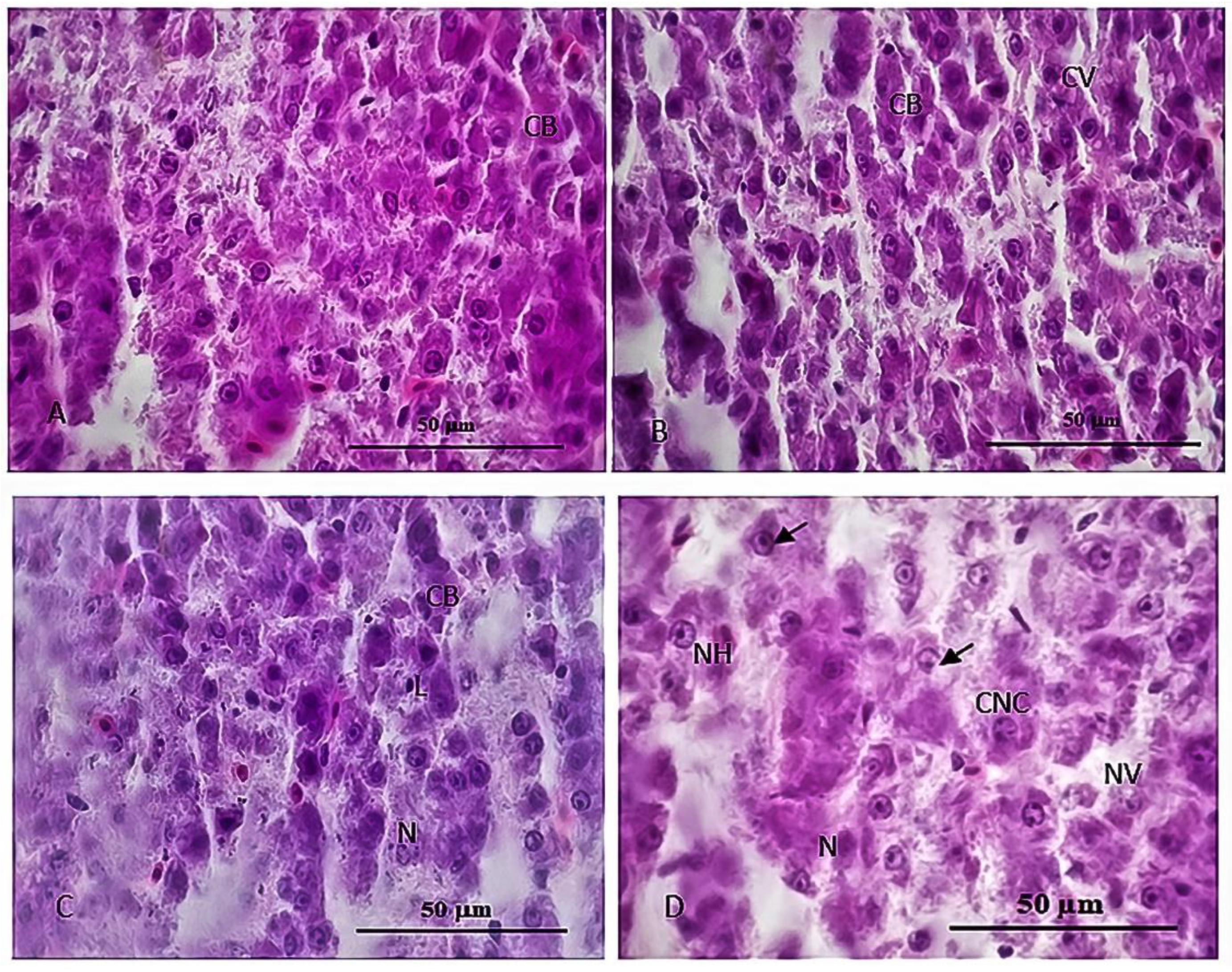 Sustainability 15 06494 g006