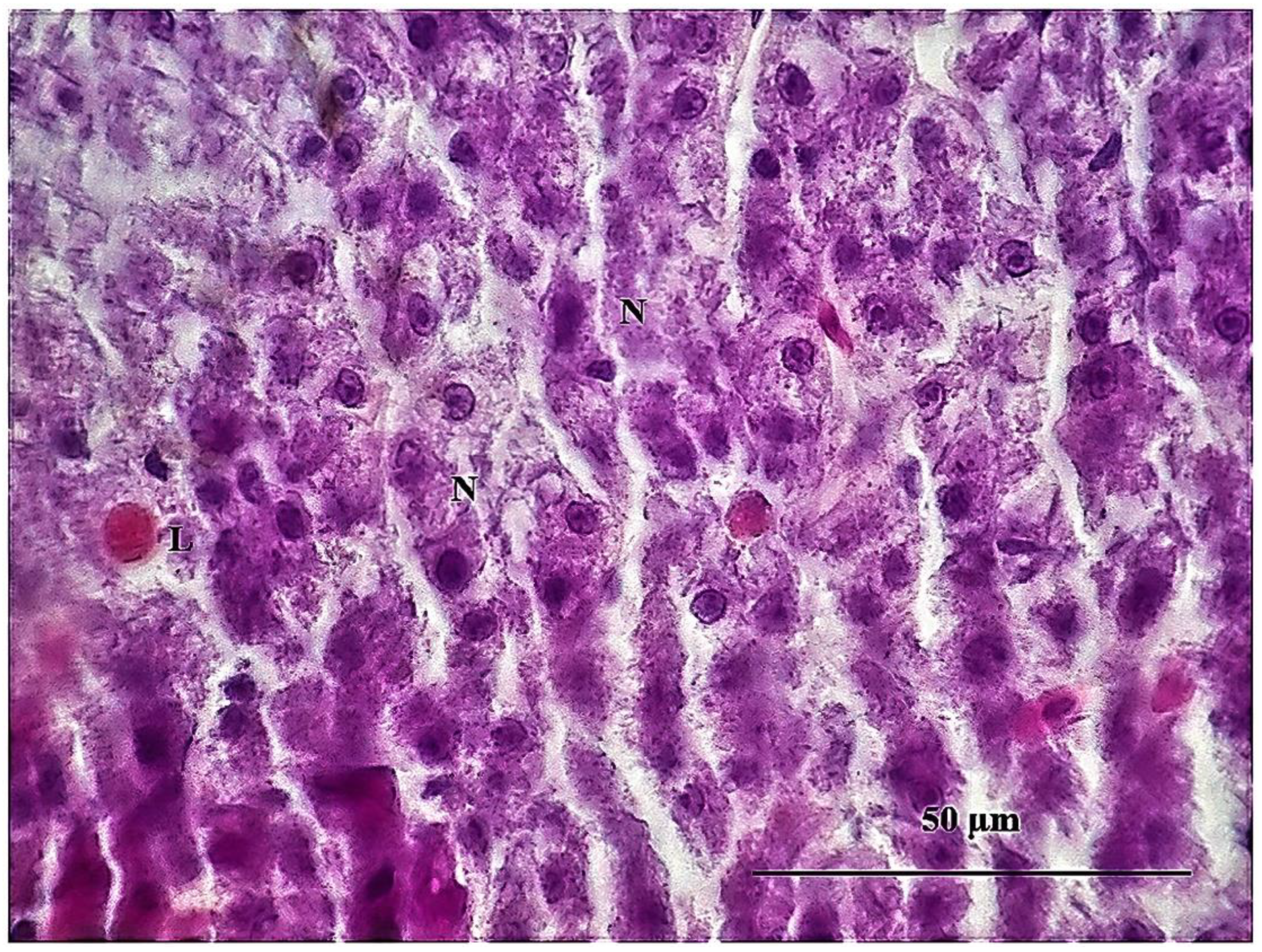Sustainability 15 06494 g010