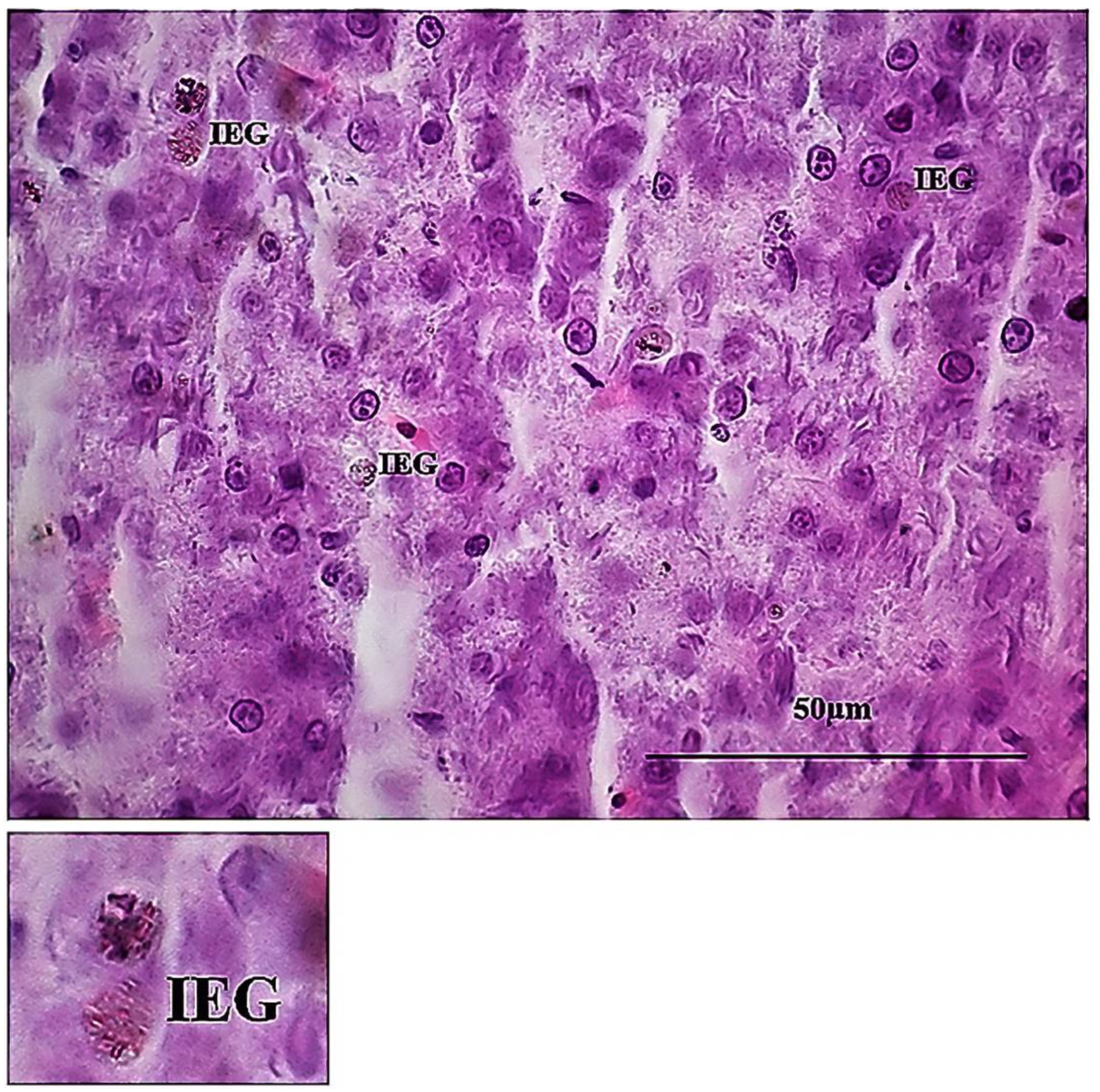 Sustainability 15 06494 g012