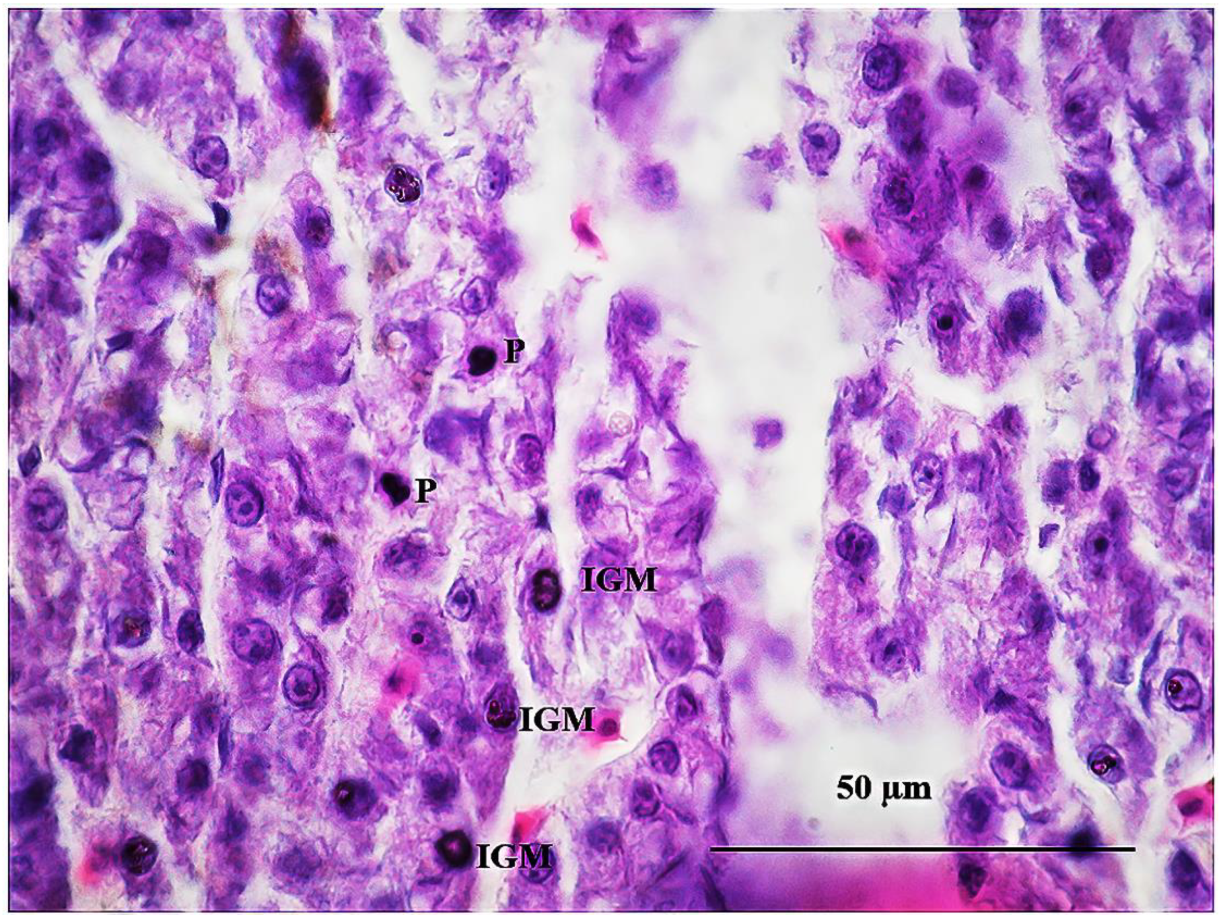 Sustainability 15 06494 g013