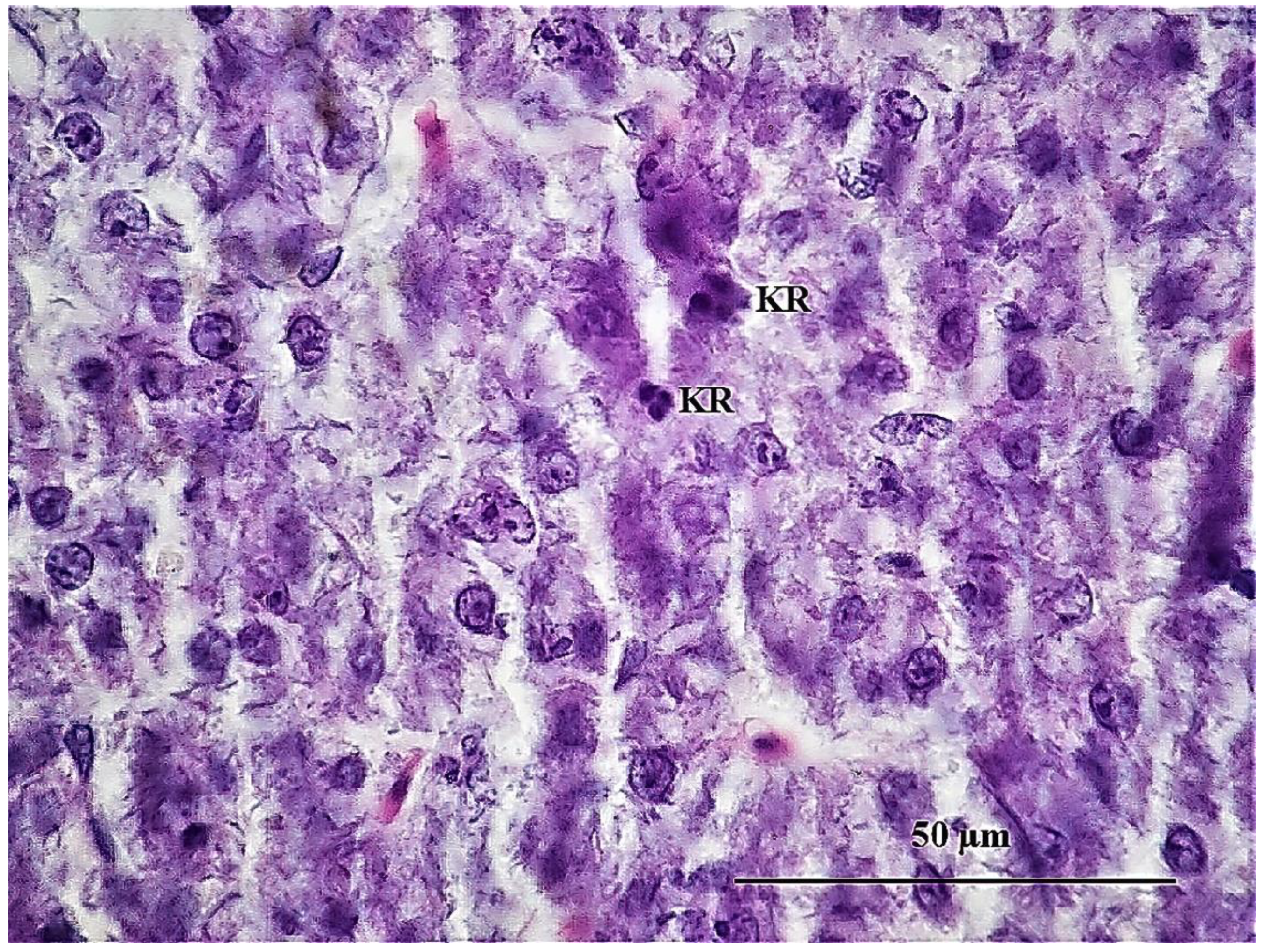 Sustainability 15 06494 g014