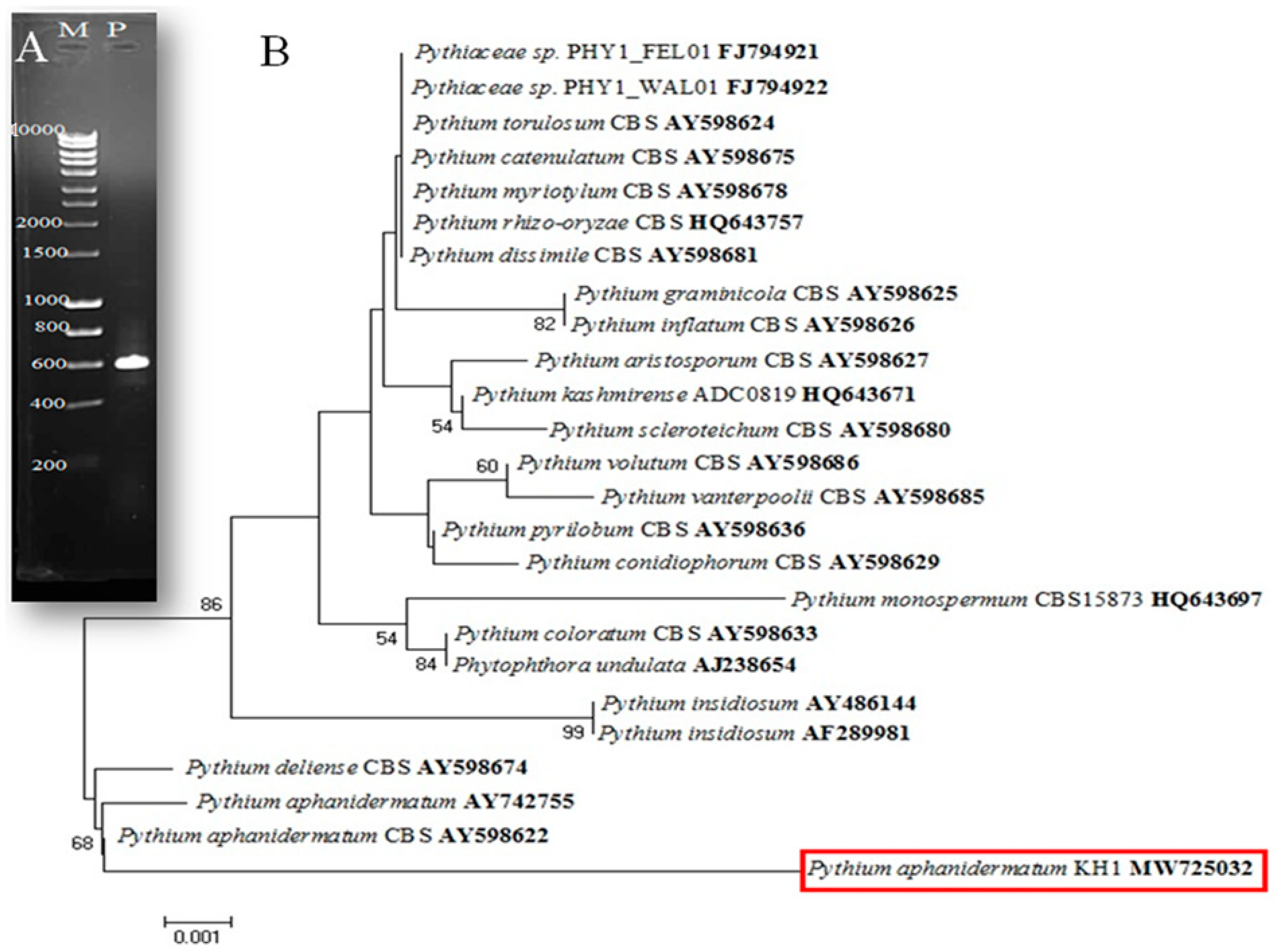 Sustainability 15 06551 g002