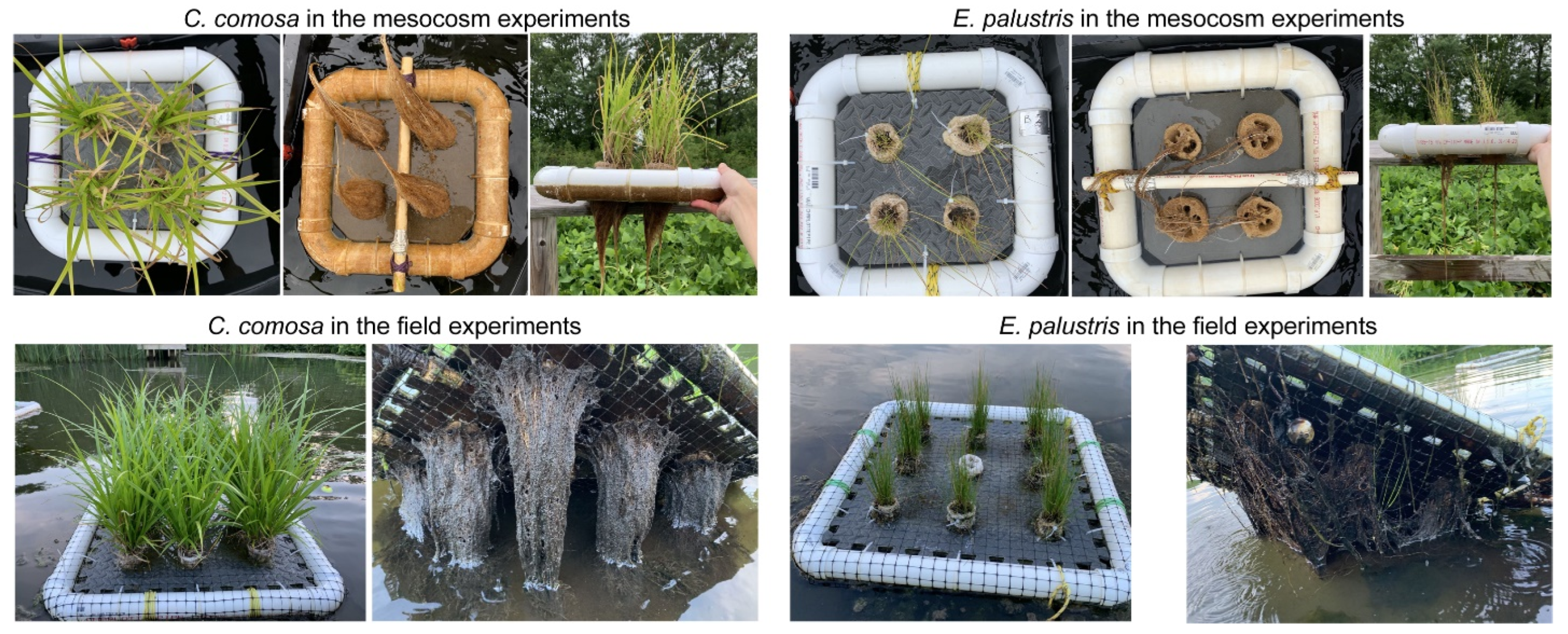 Sustainability 15 06553 g0a3 Sustainability 15 06553 g0a3