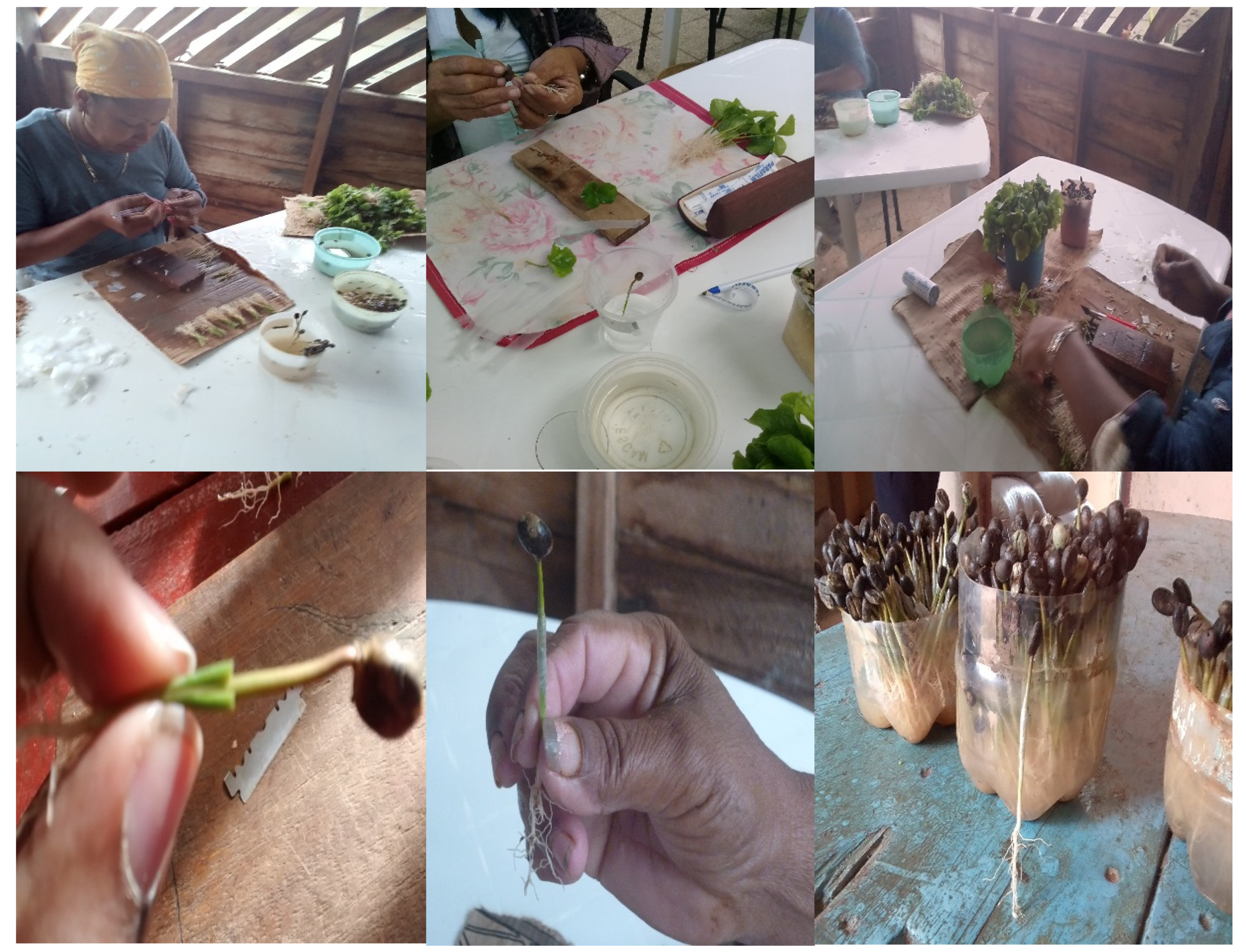 Sustainability 15 06559 g001 Sustainability 15 06559 g001