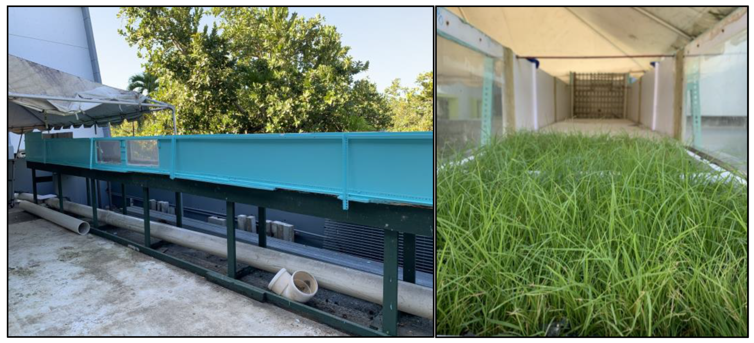 Sustainability 15 06580 g002