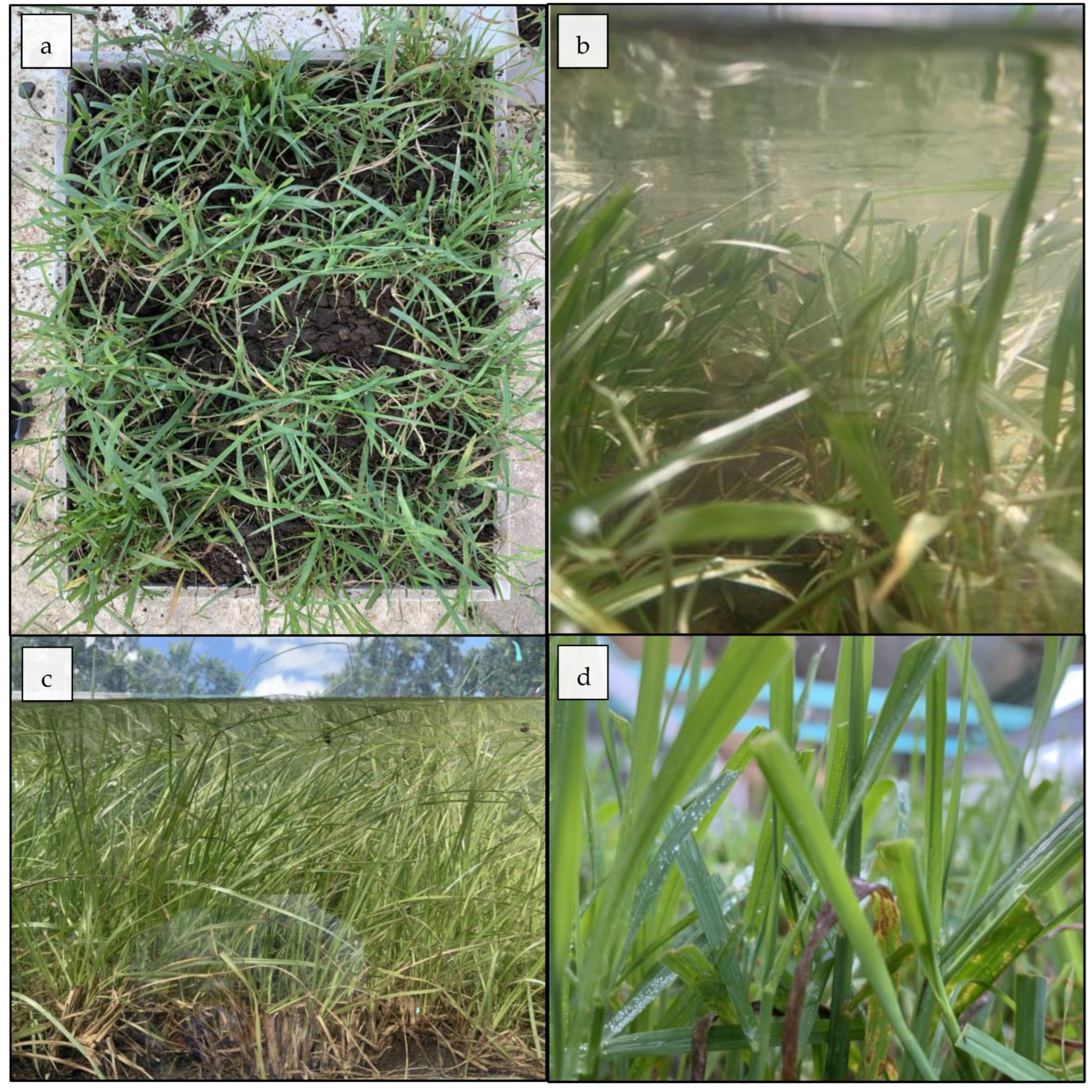 Sustainability 15 06580 g004