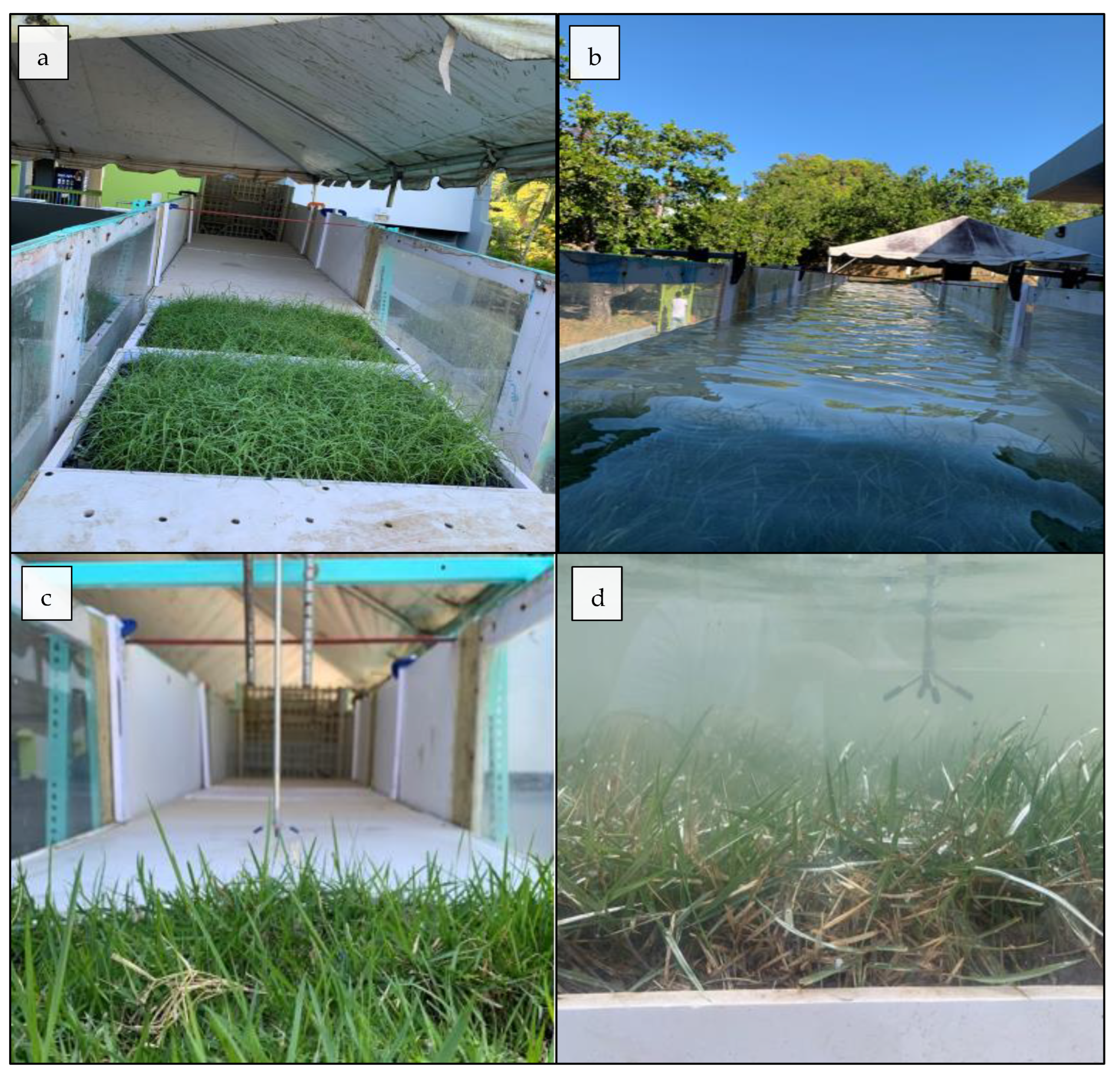 Sustainability 15 06580 g005