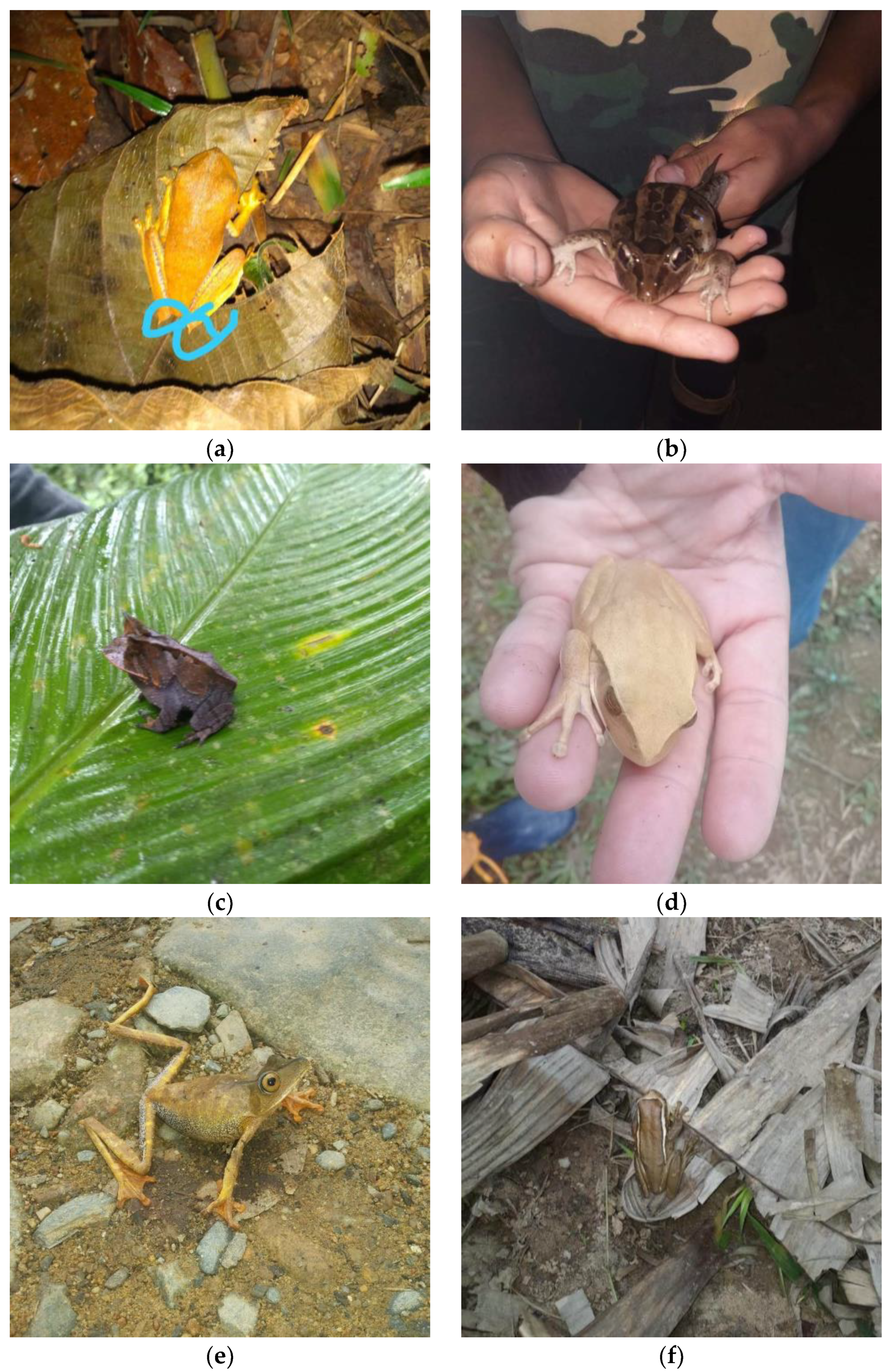 Sustainability 15 06654 g001