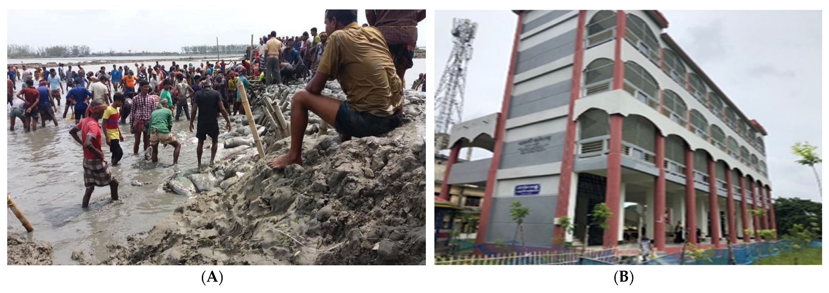 Sustainability 15 06664 g008