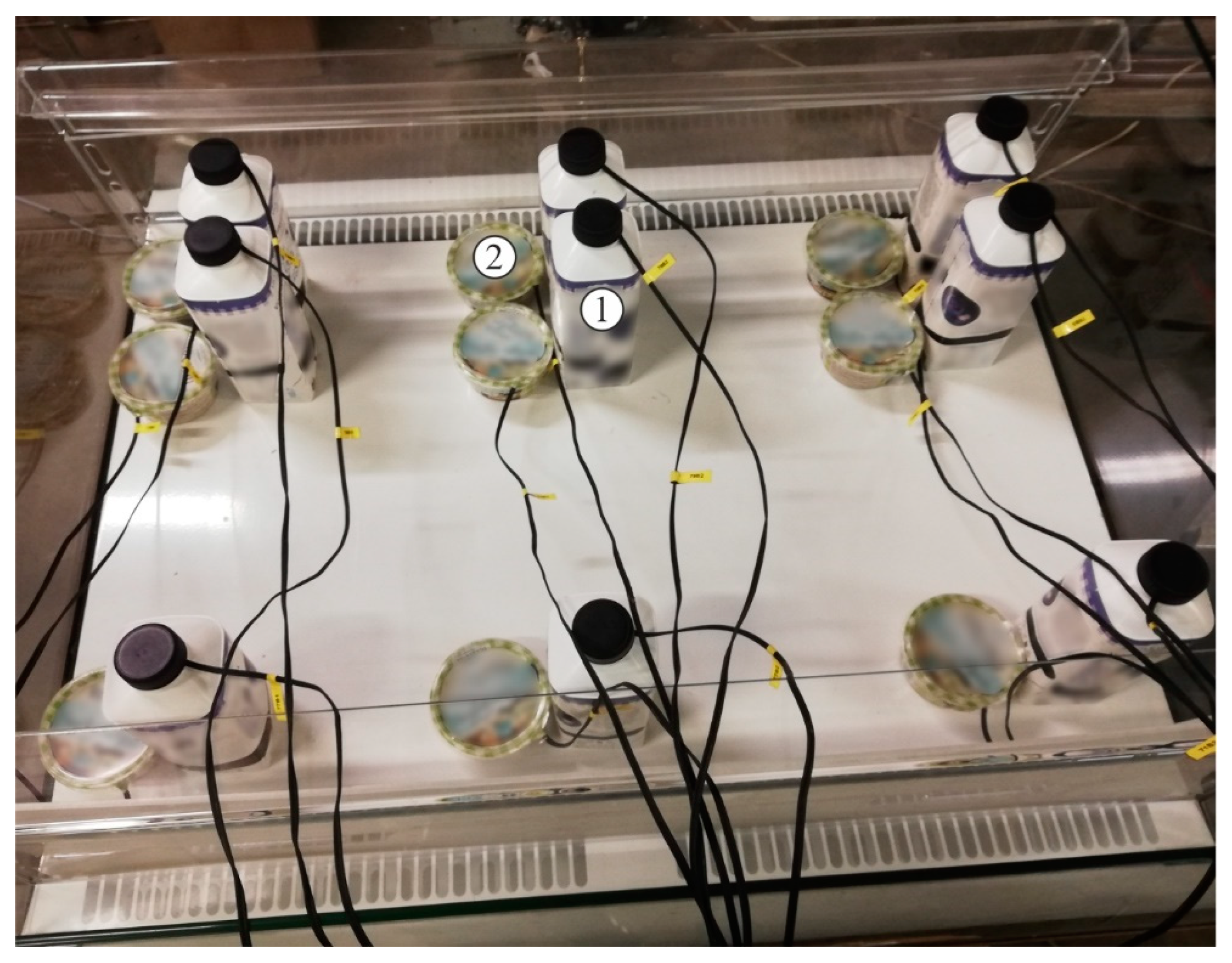 Sustainability 15 06669 g007