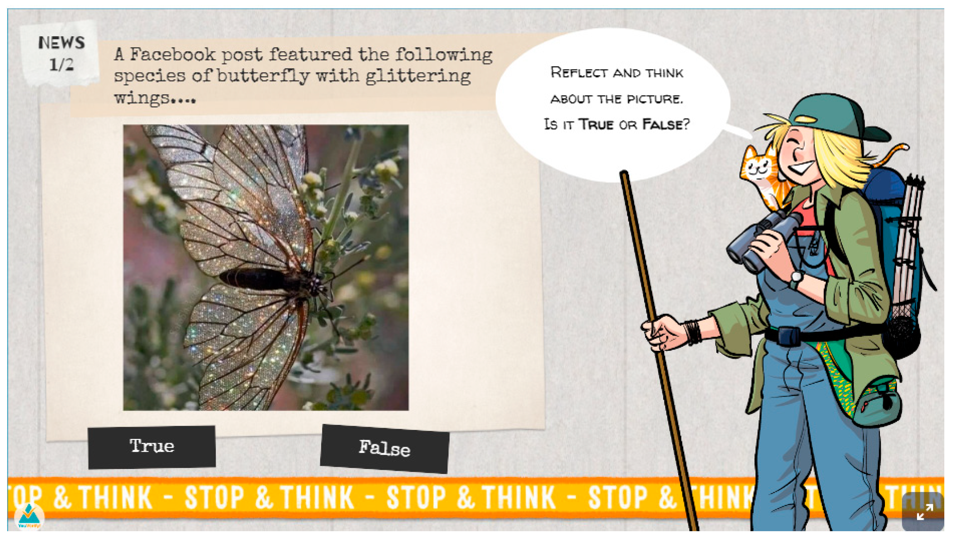 Sustainability 15 06681 g015