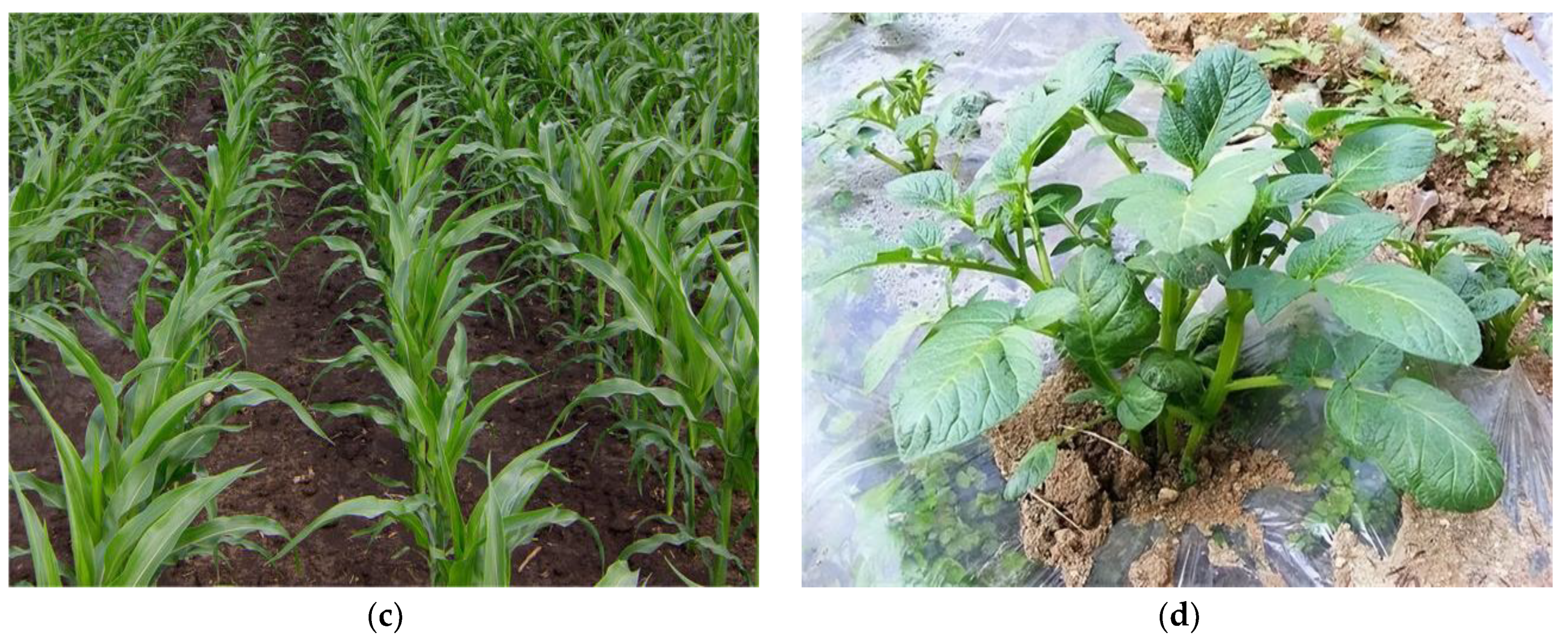 Sustainability 15 06713 g014b