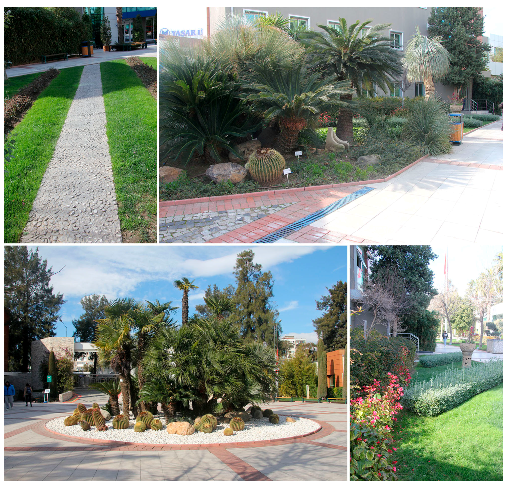 Sustainability 15 06715 g004