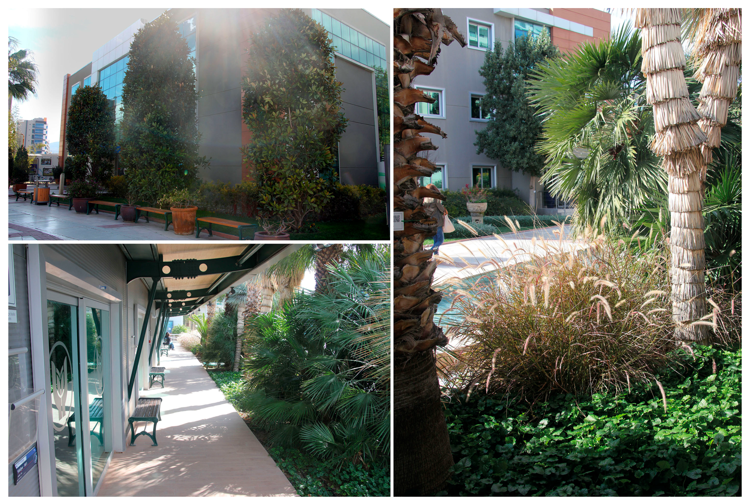 Sustainability 15 06715 g005