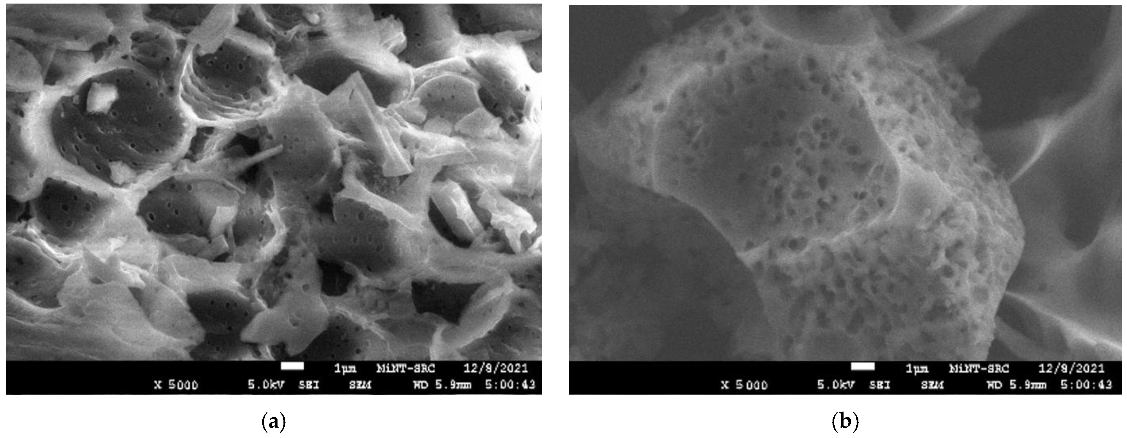 Sustainability 15 06734 g006 Sustainability 15 06734 g006