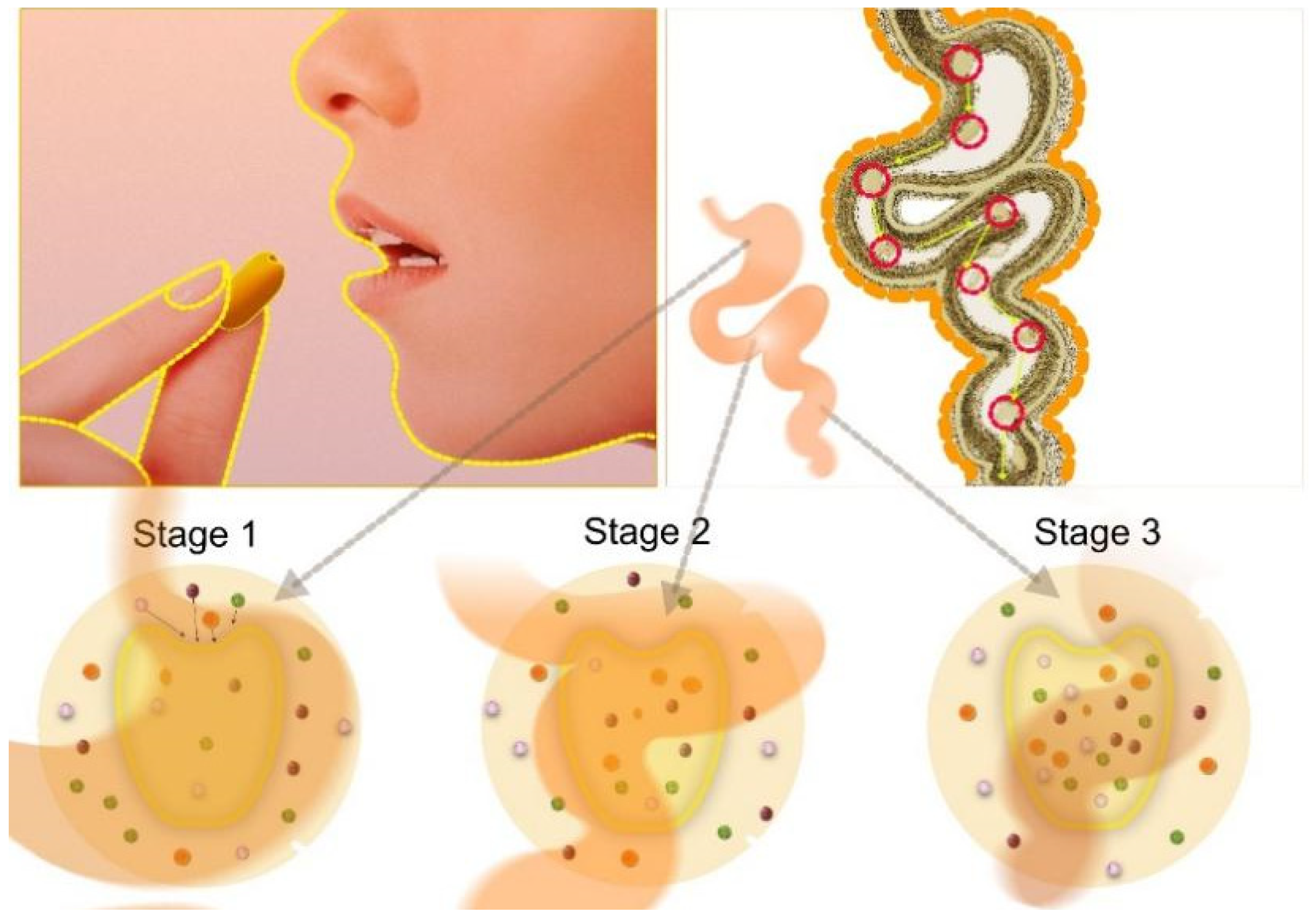 Sustainability 15 06755 g003